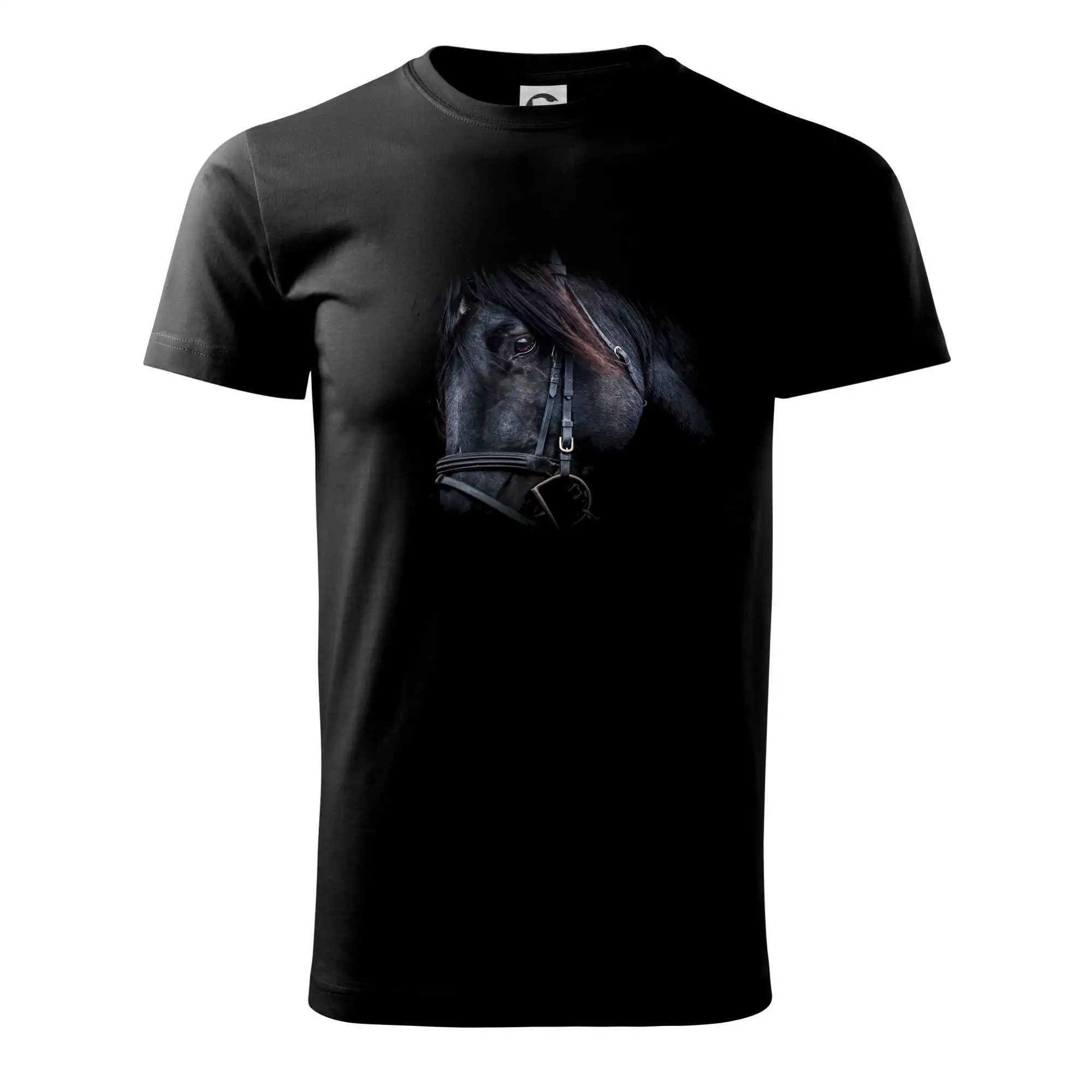 Kůň black