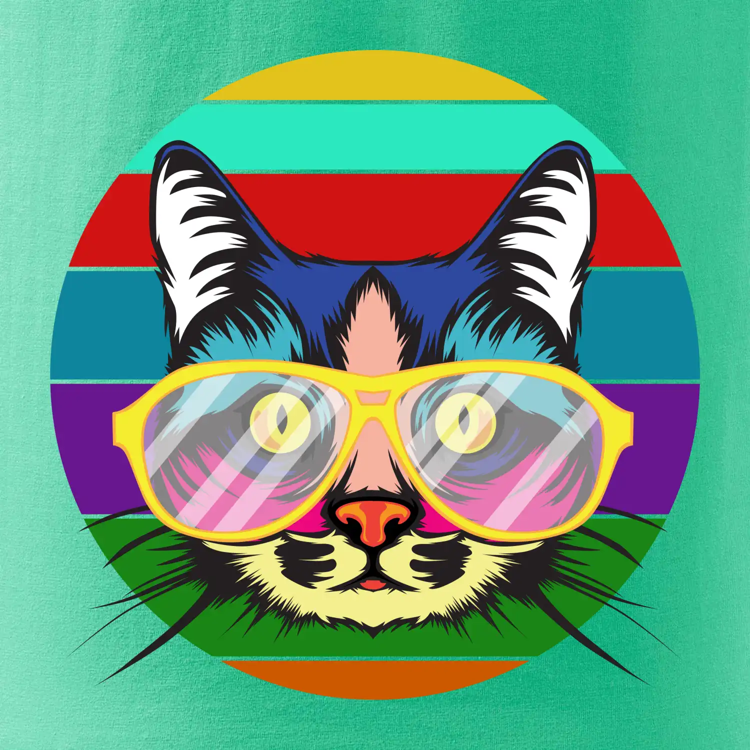 Kočka při barevném západu