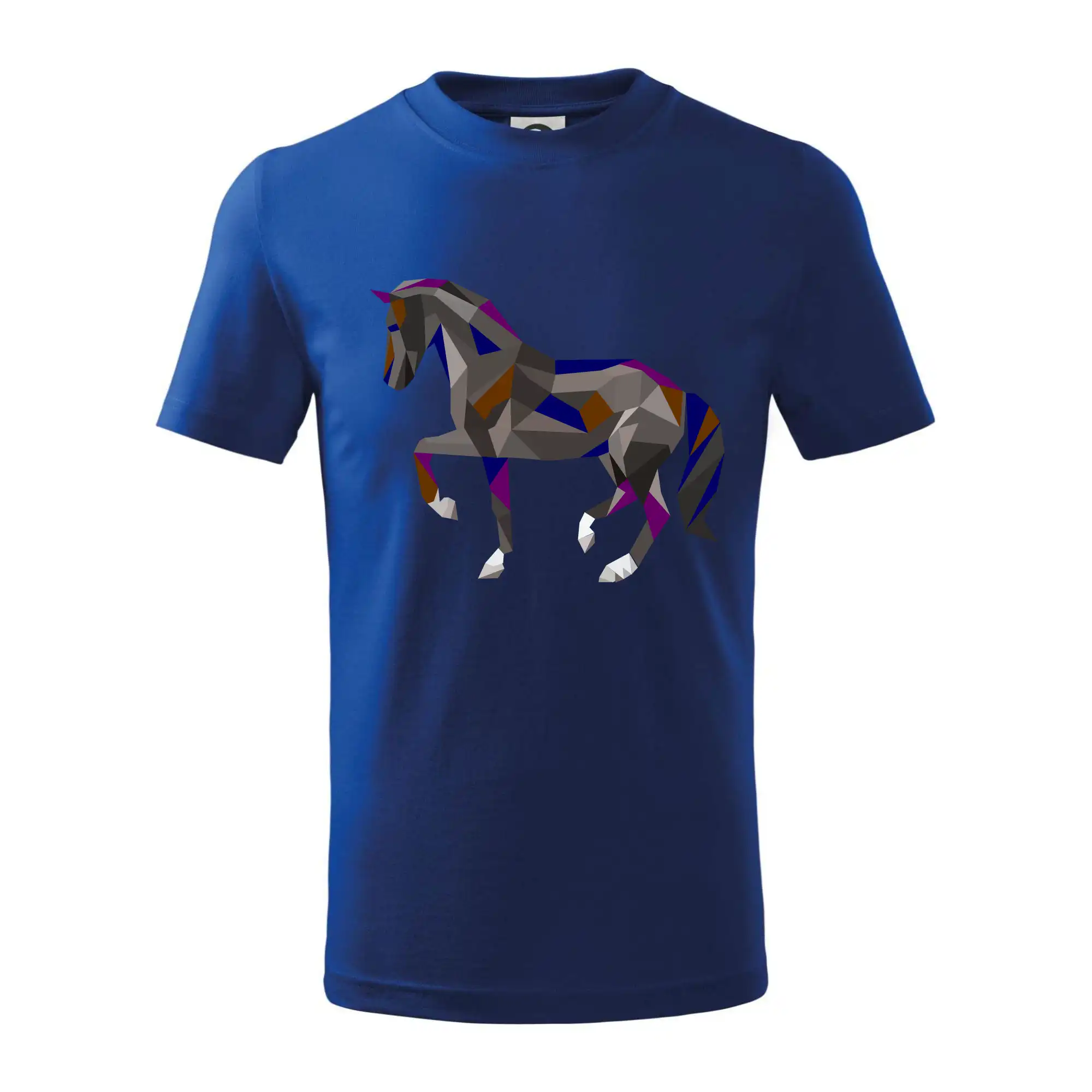 Kôň geometria farebný