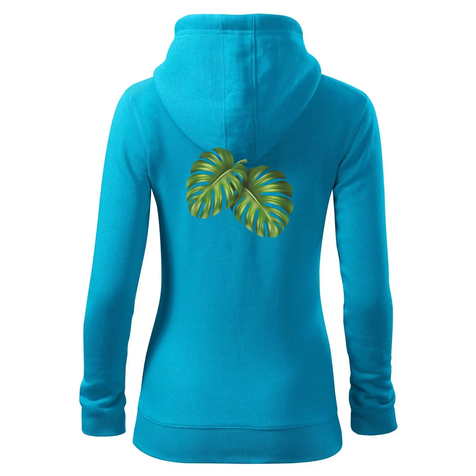 Monstera - dva listy