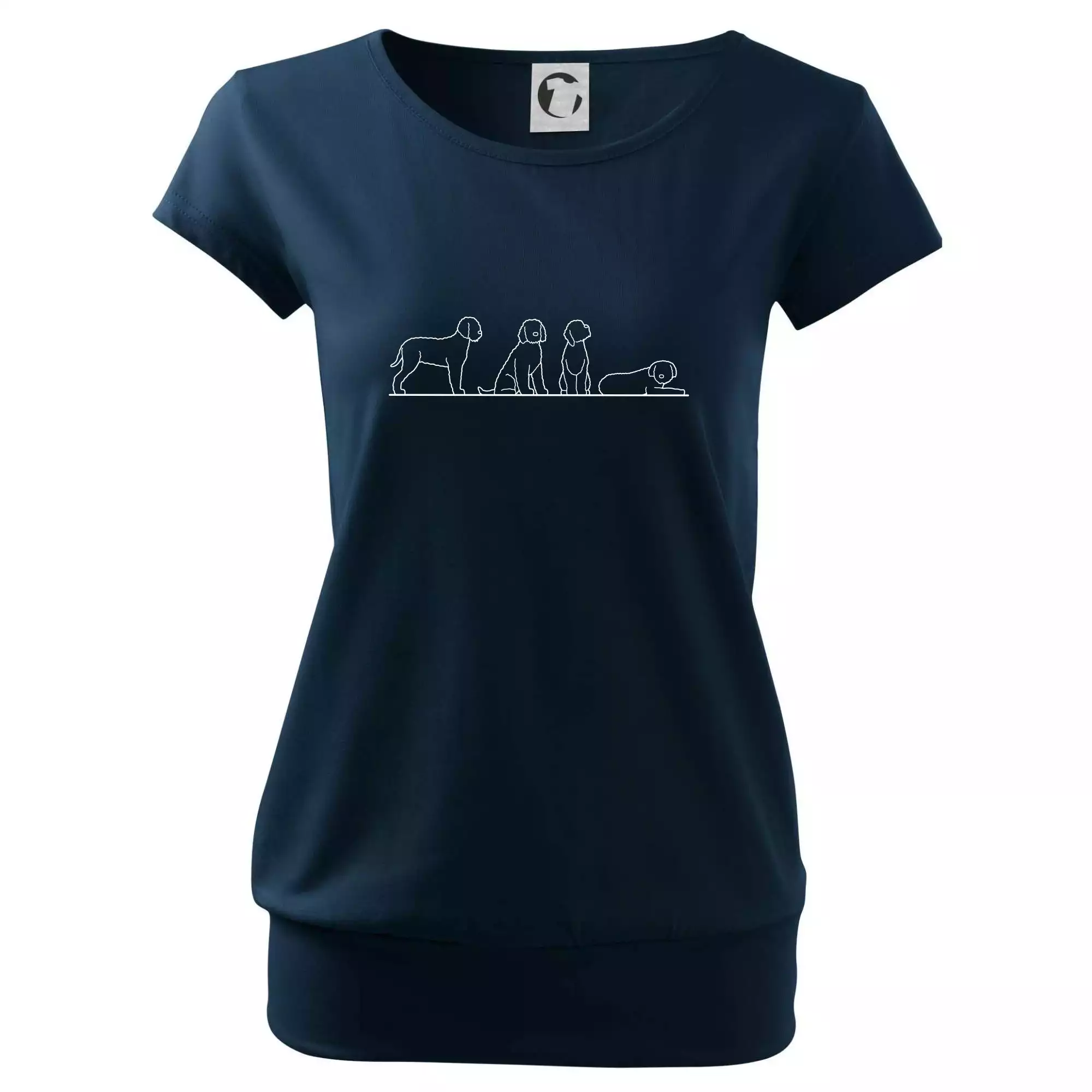 Lagotto romagnolo postavy linka