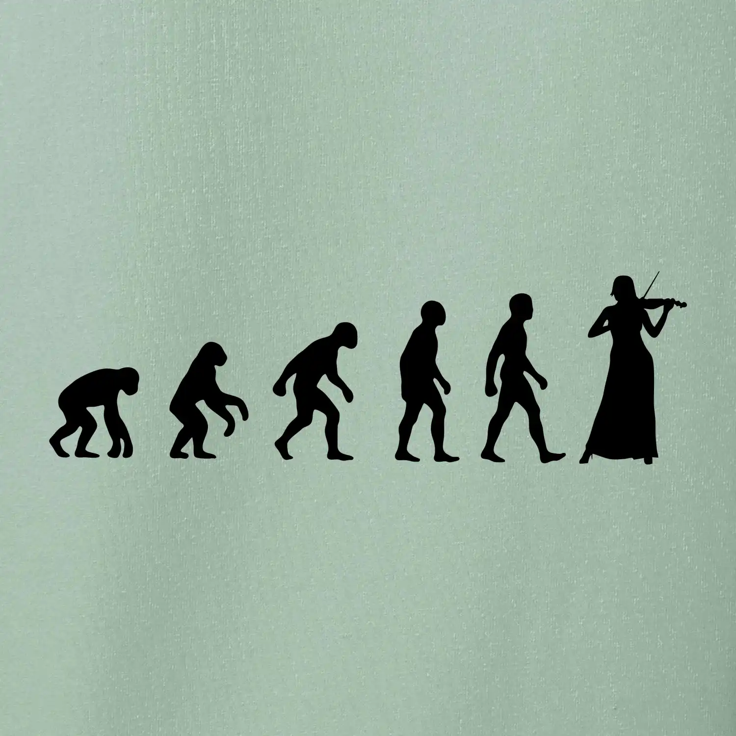 Evoluce houslistka
