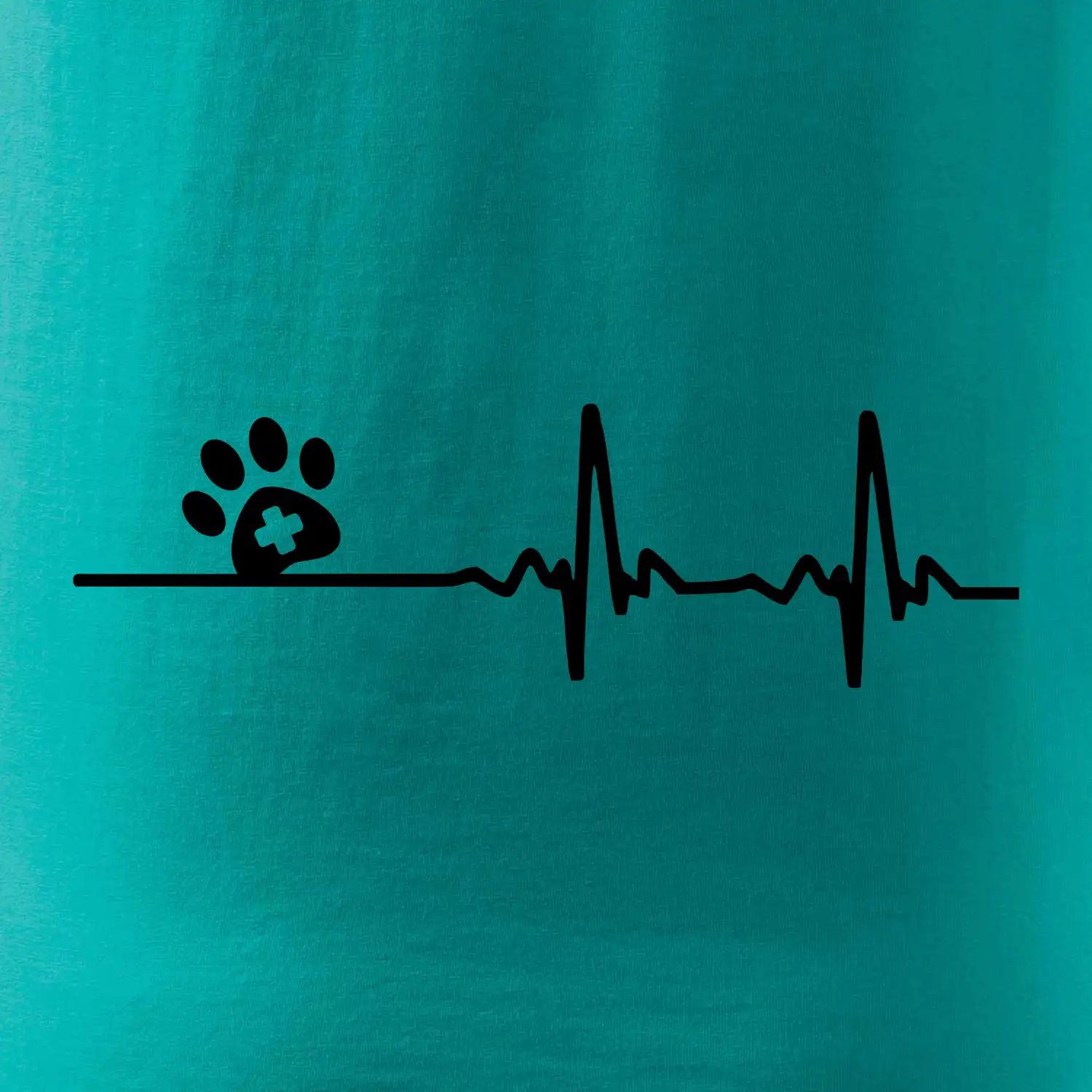 Veterinář EKG