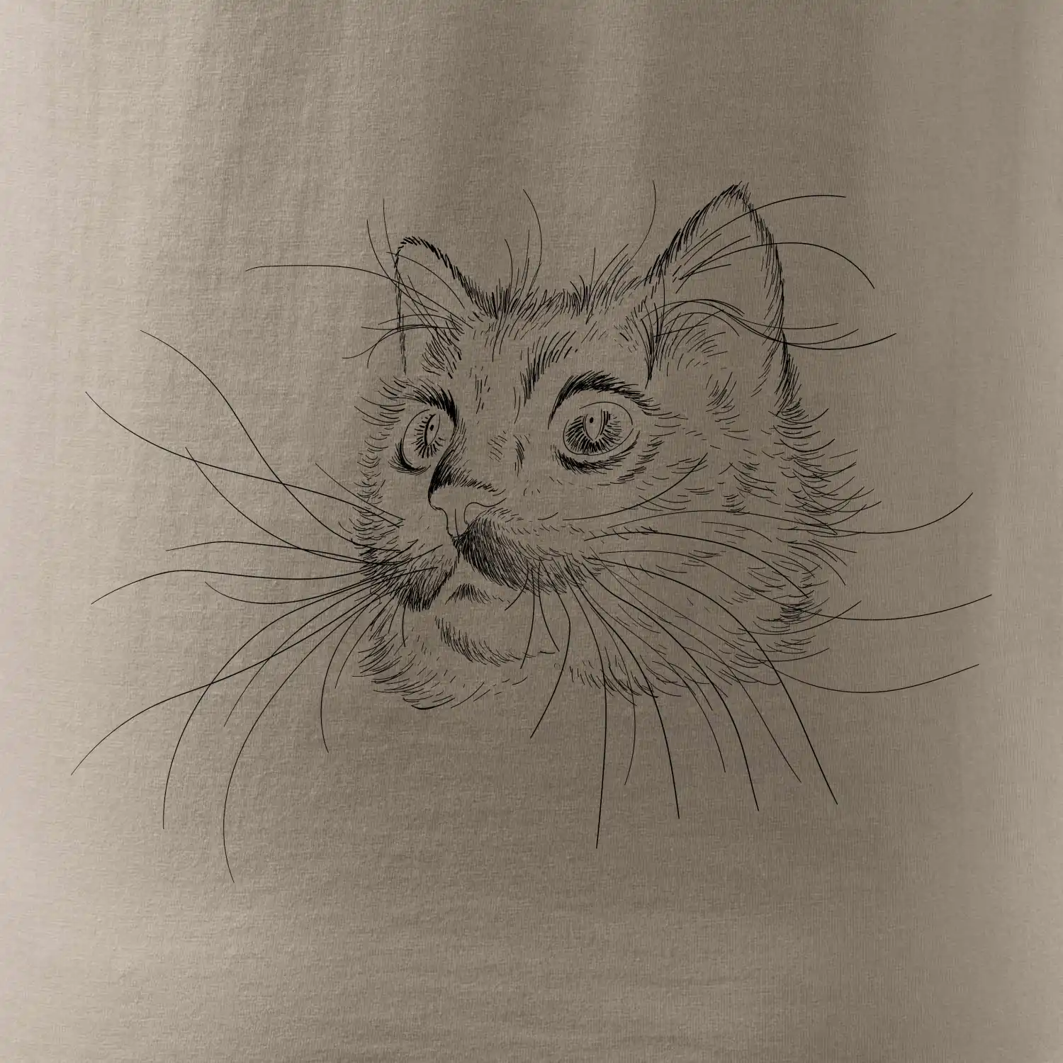 Kočka ilustrace