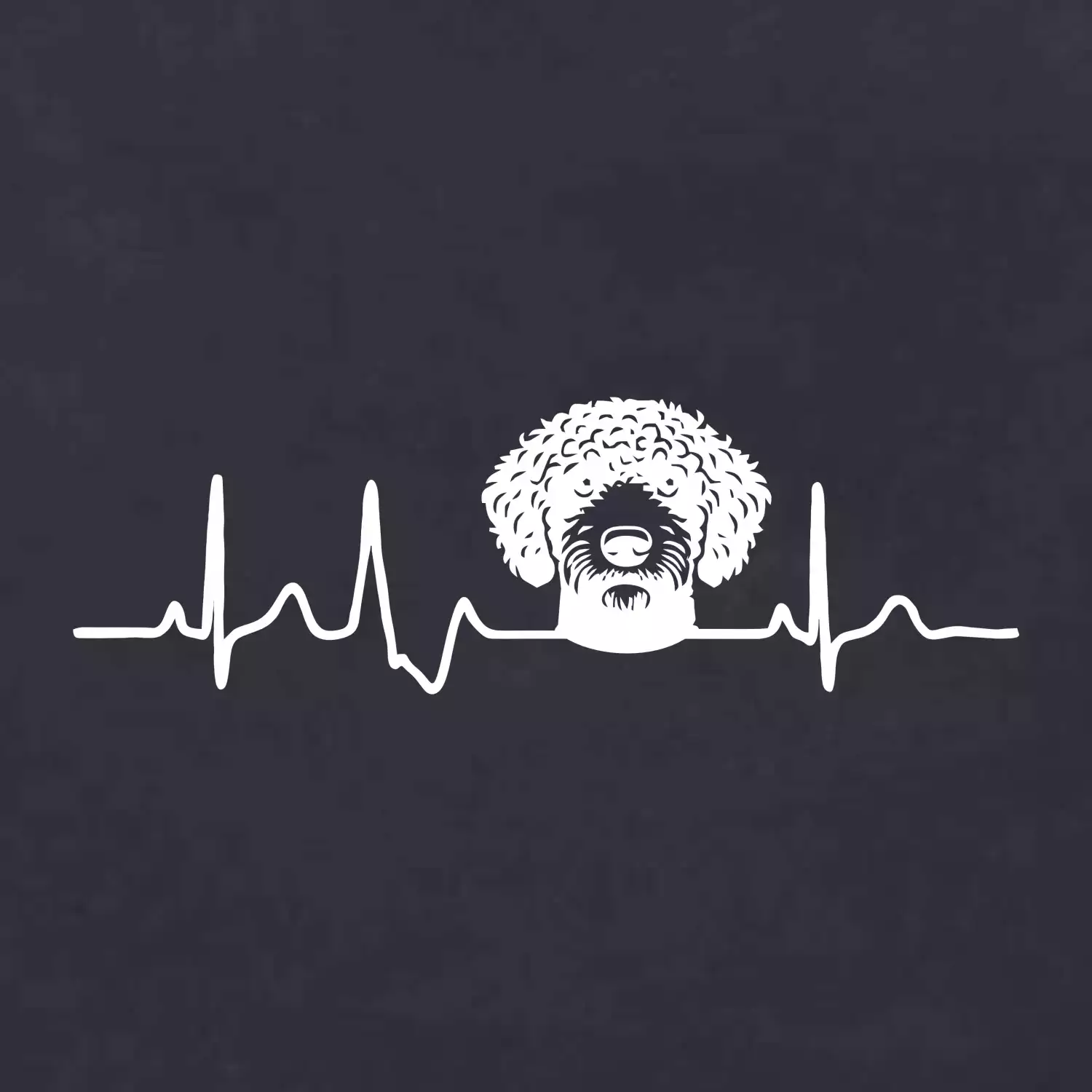 Lagotto romagnolo hlava EKG