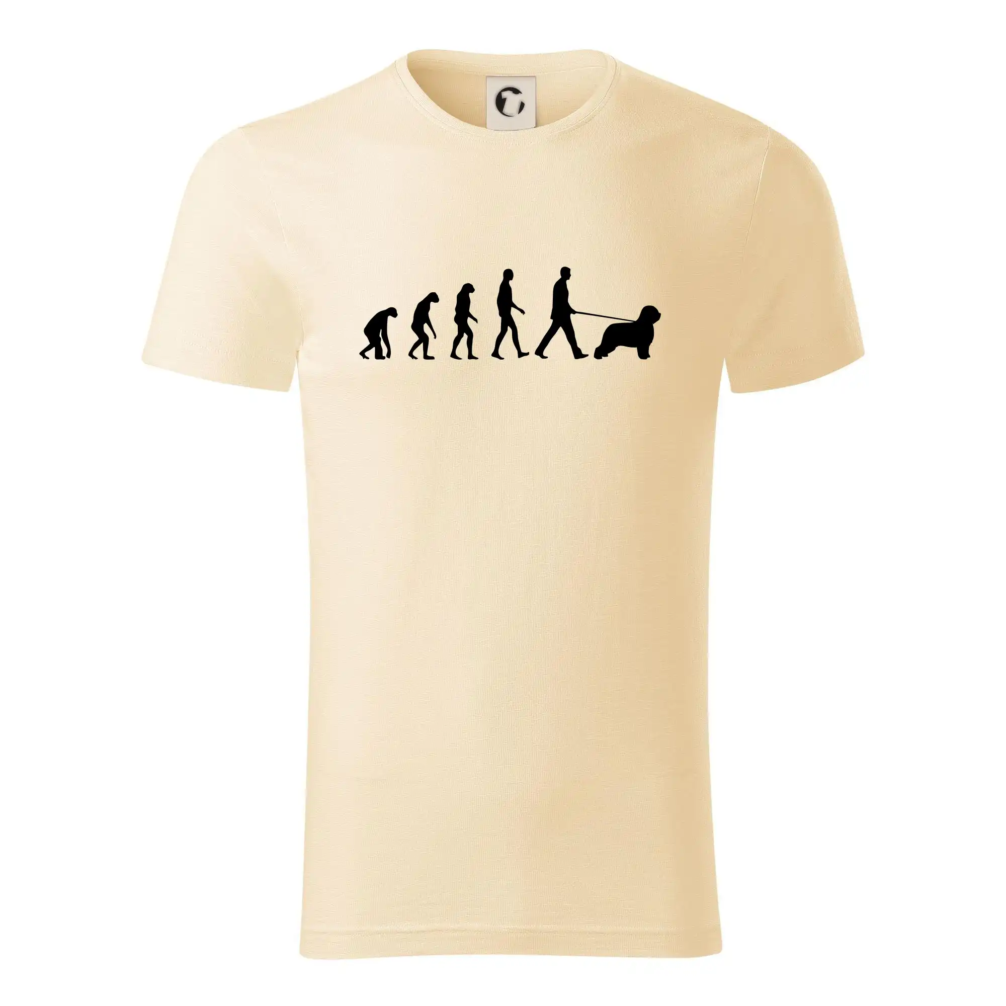 Evoluce pes Briard