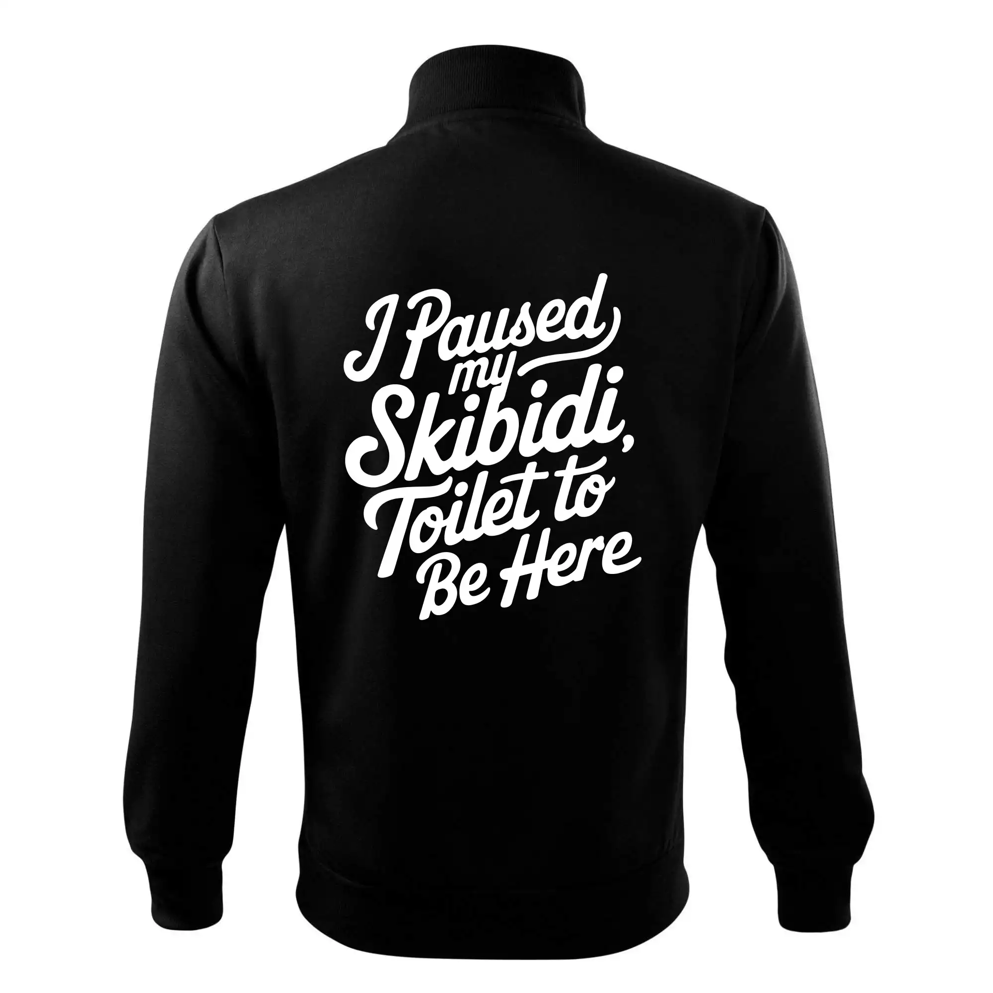 I Paused My Skibidi Toilet to be Here