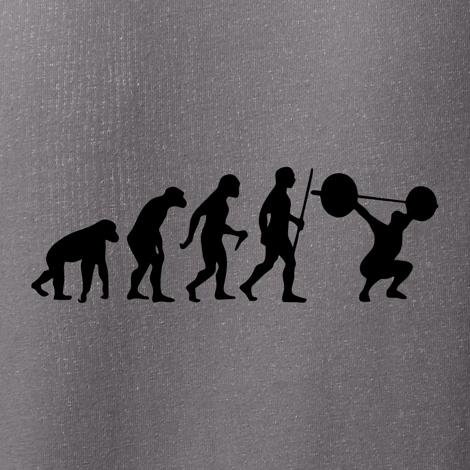 Evolution fitness