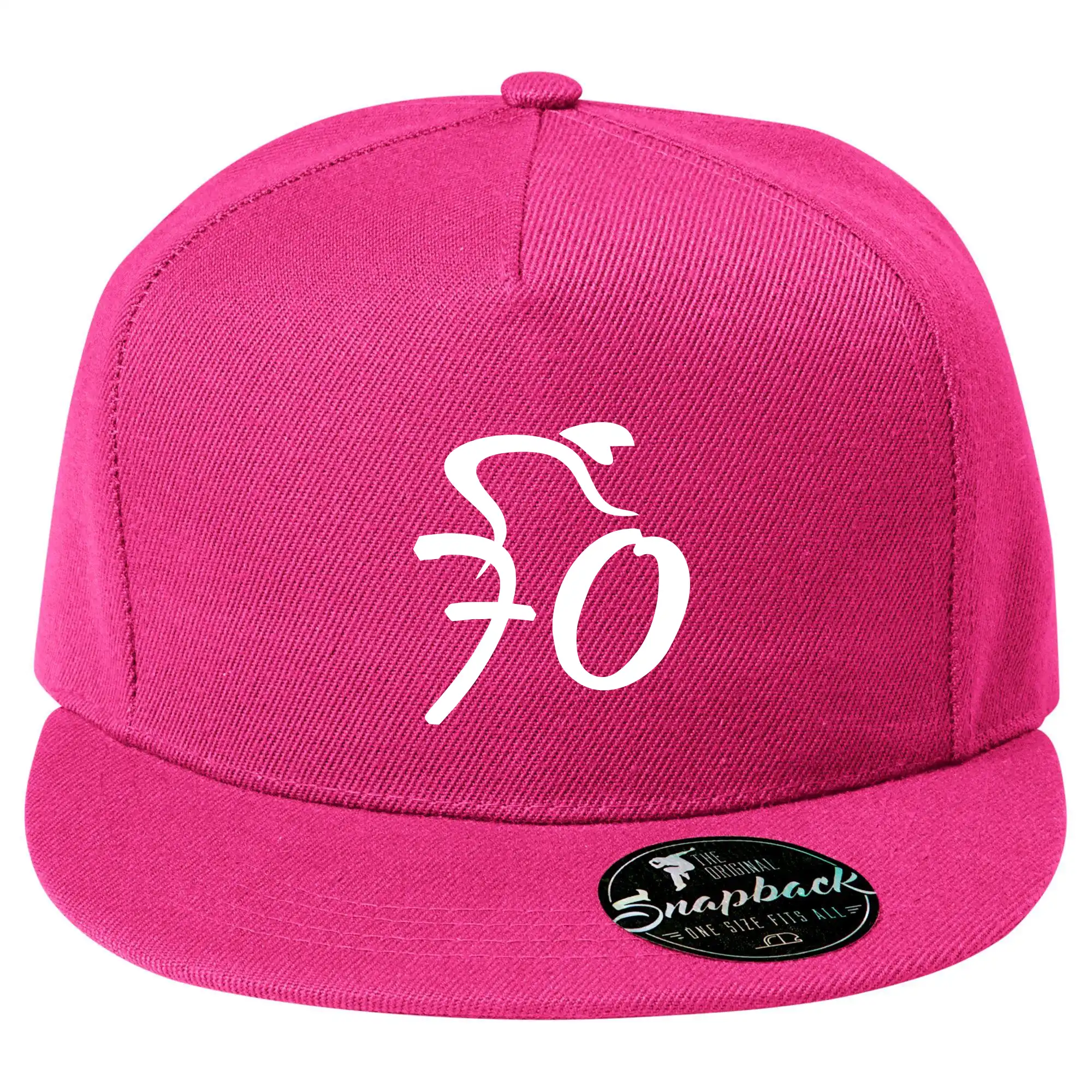 Cyklista slaví sedmdesátku (70)