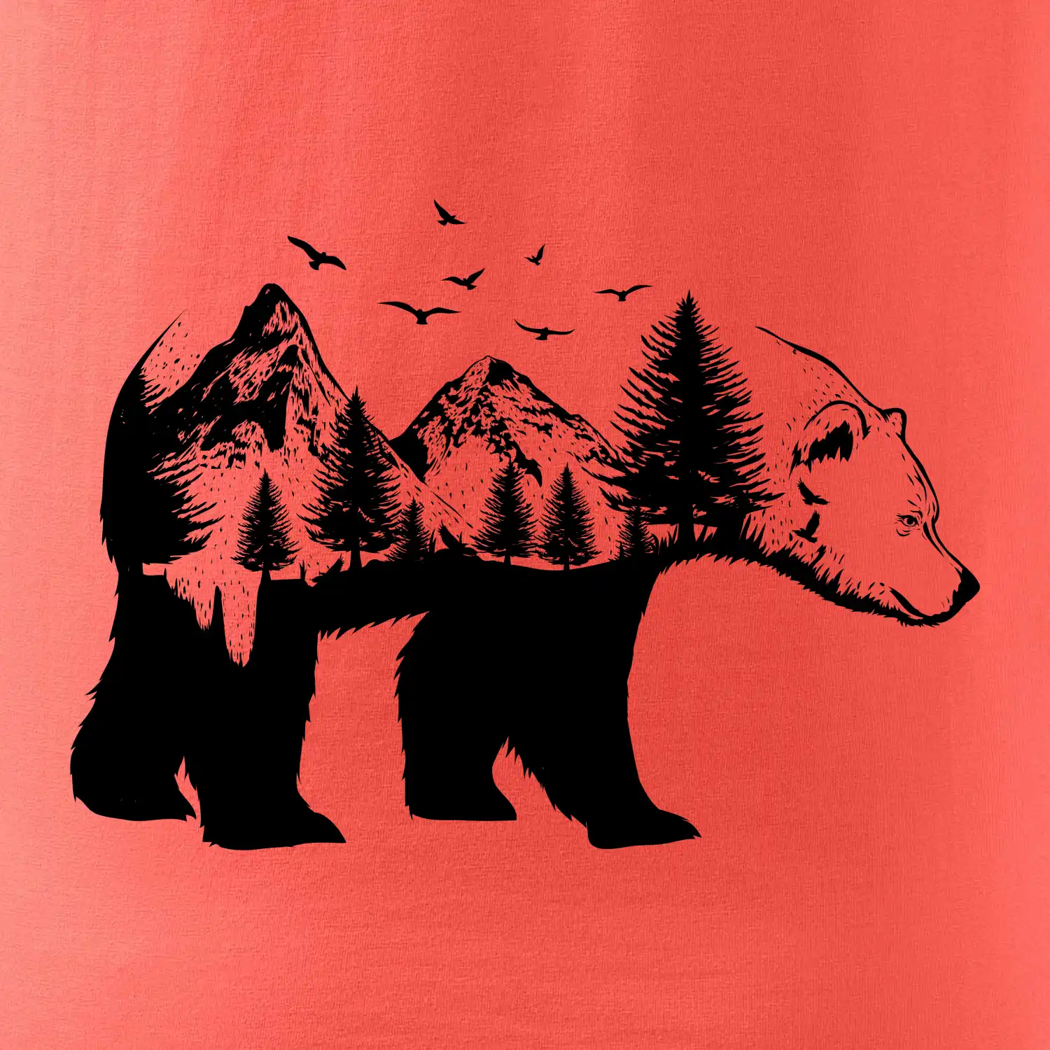 Medvěd ilustrace
