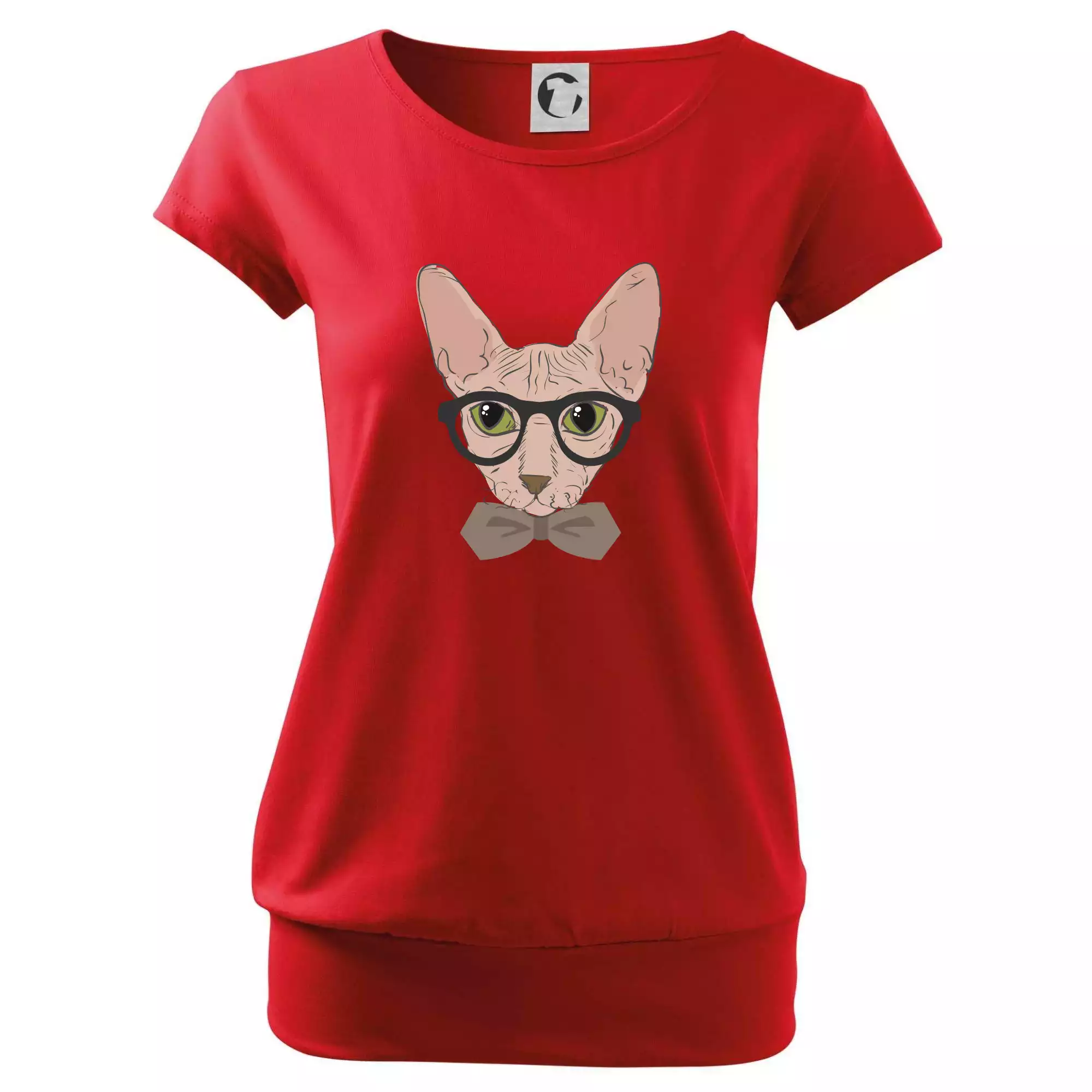Hipster sphynx