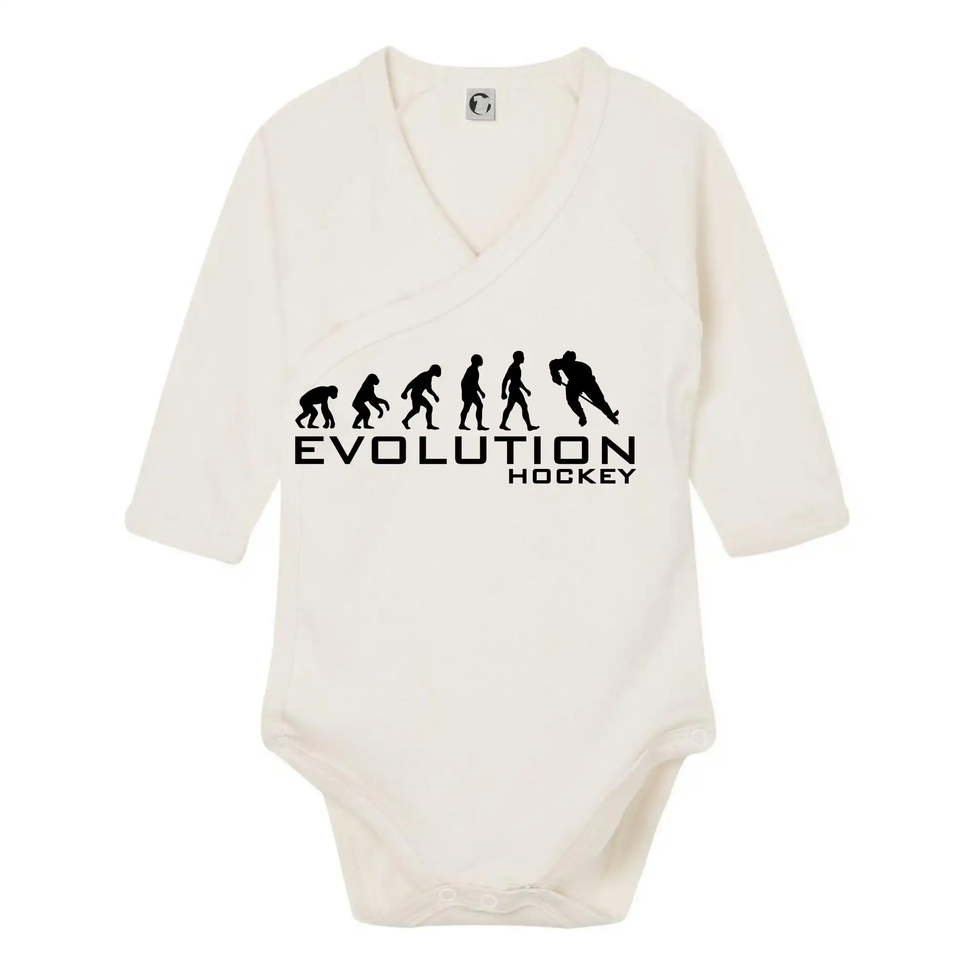 Evoluce Hockey - hráč