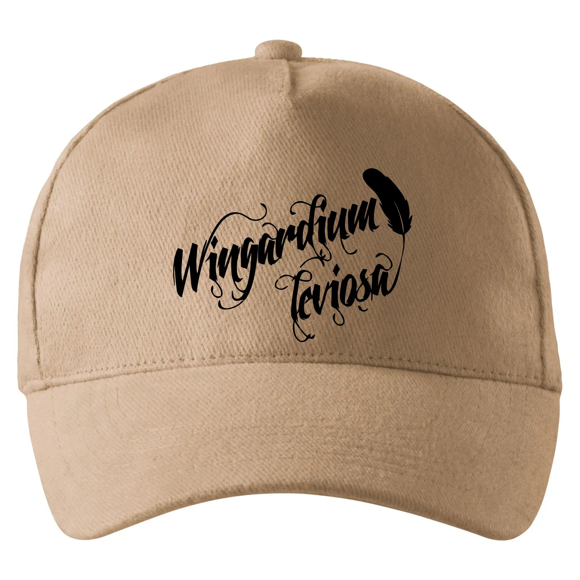 Harry - Wingardium Leviosa