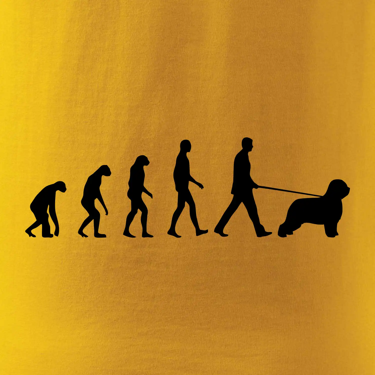 Evoluce pes Briard