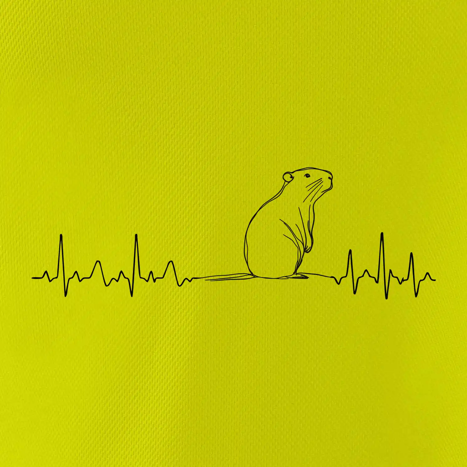 EKG křivka kapybara