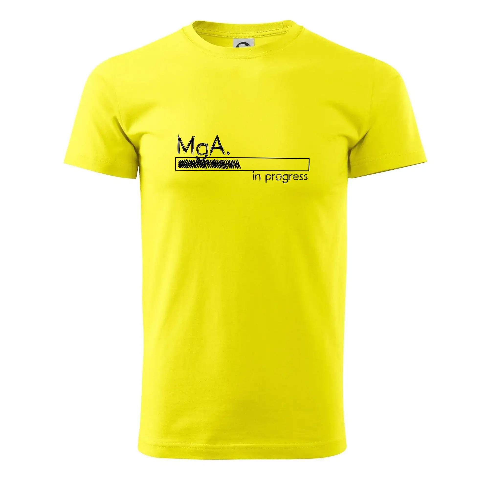 In progress titul MgA.  magistr / magistra umění