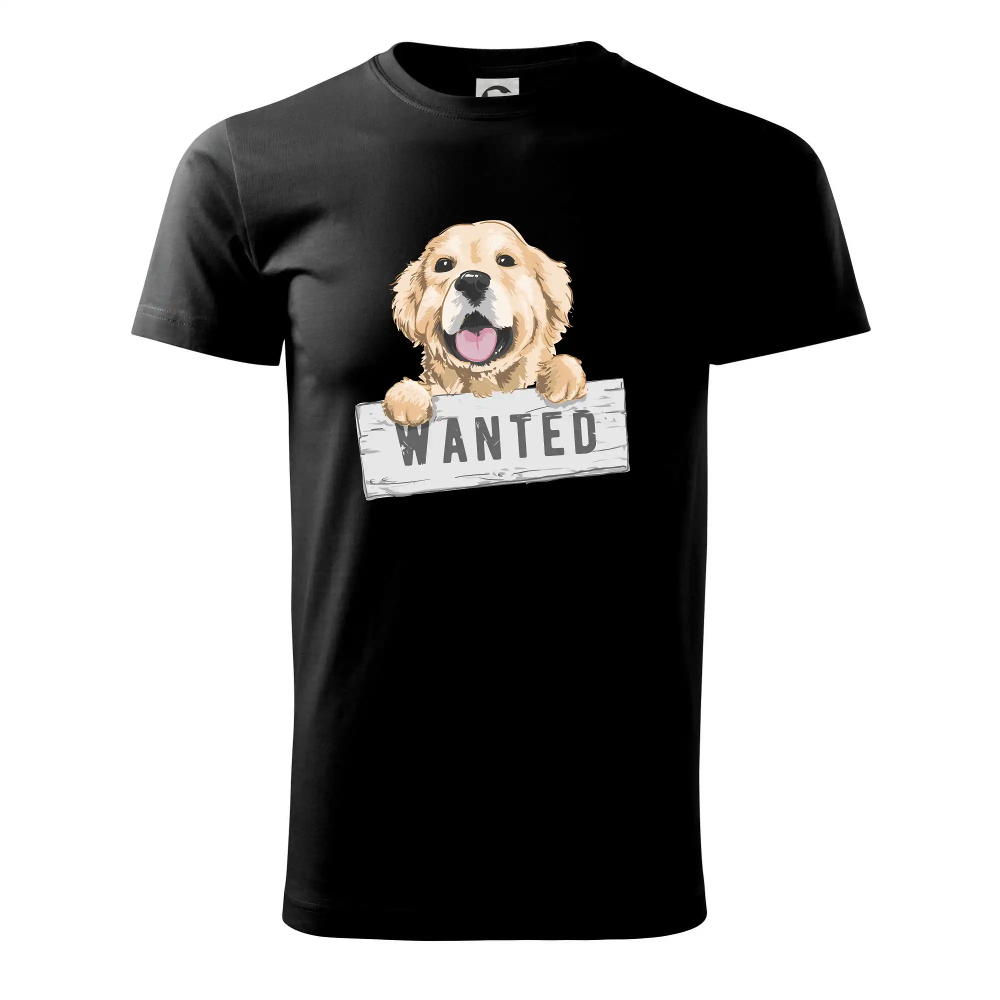 Zlatý retriever - štěně wanted
