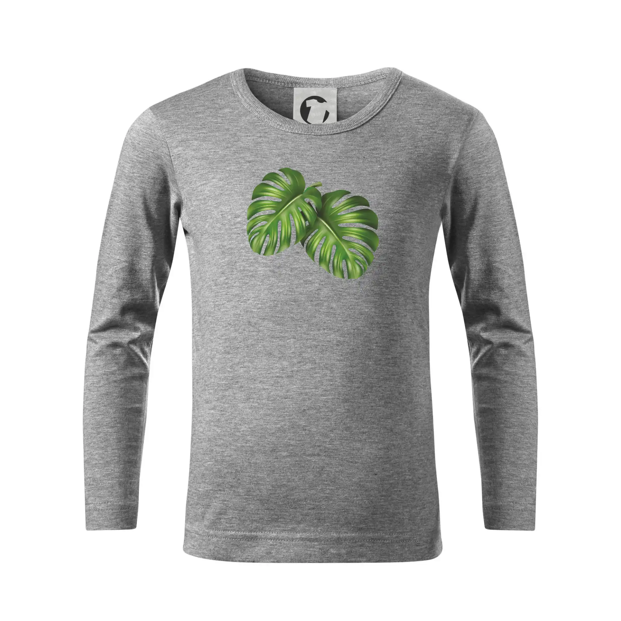 Monstera - dva listy