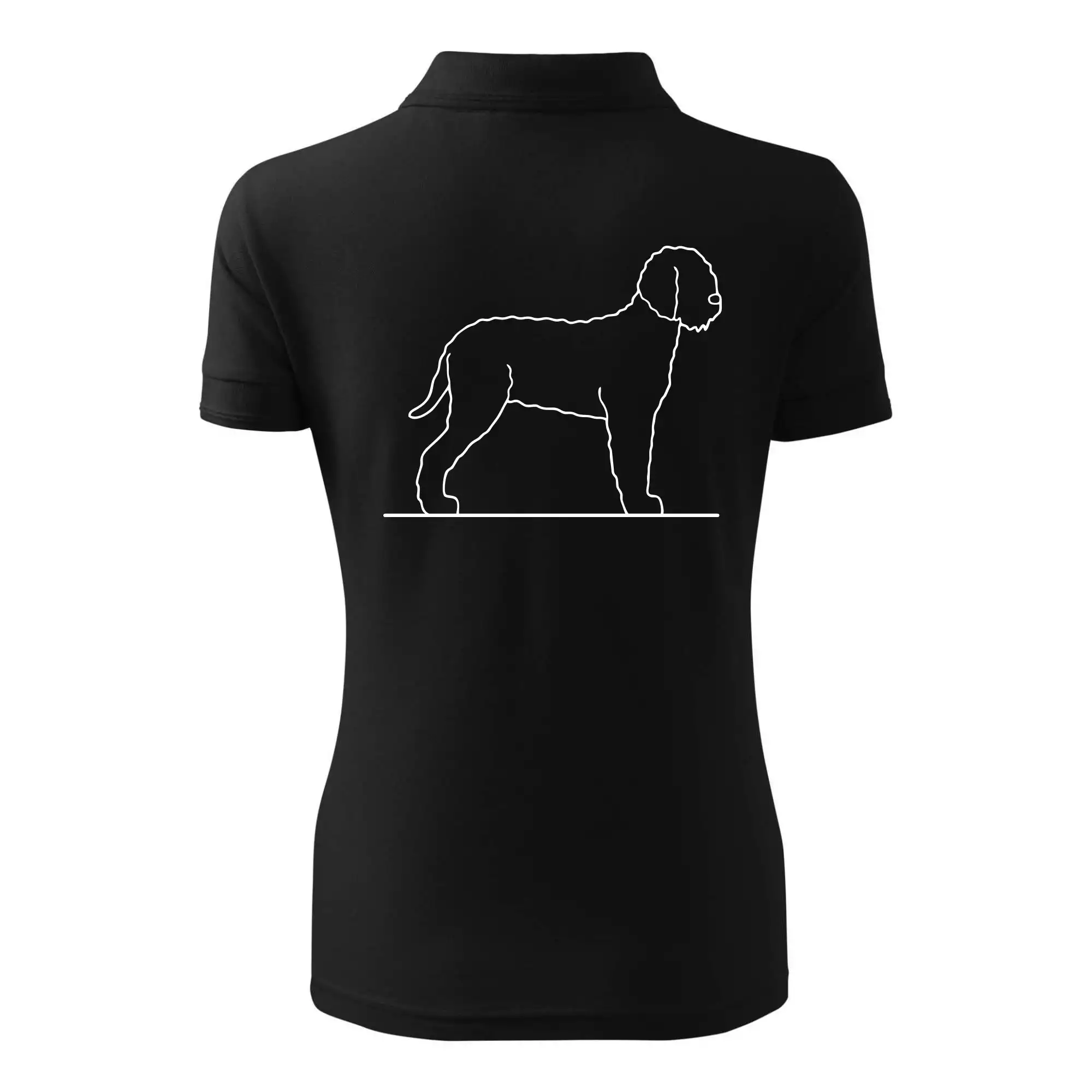 Lagotto romagnolo stojící