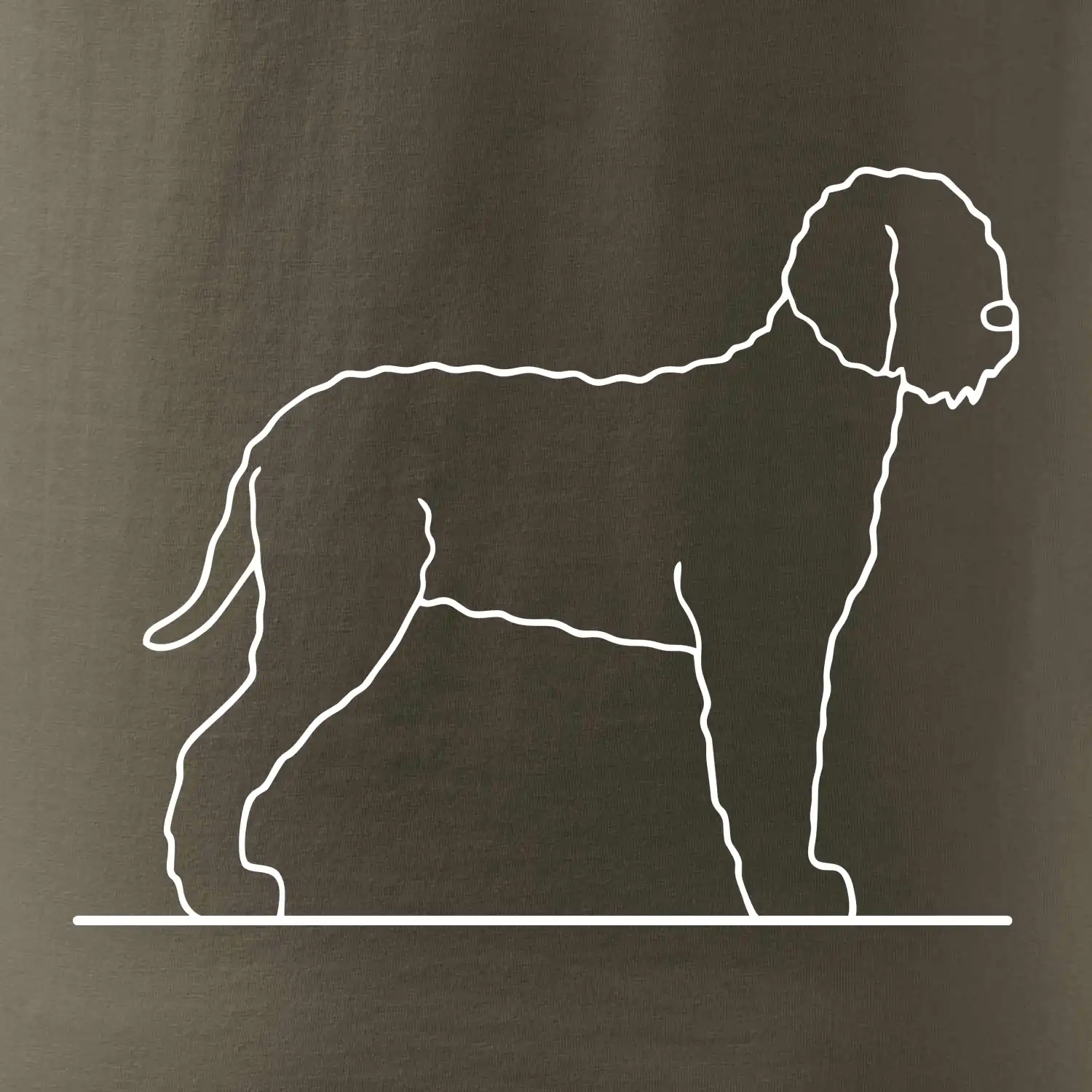 Lagotto romagnolo stojící