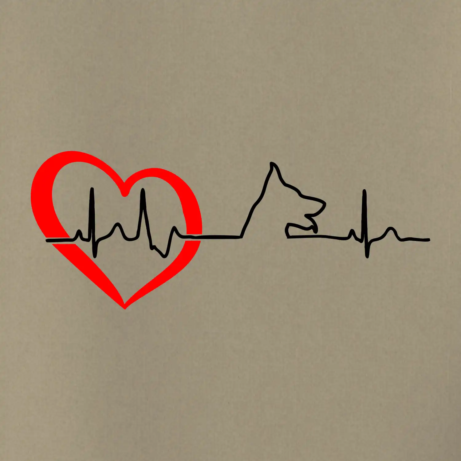 Německý ovčák ekg