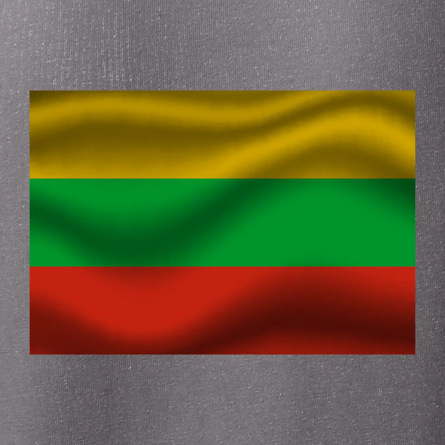 Litva vlajka obdélník