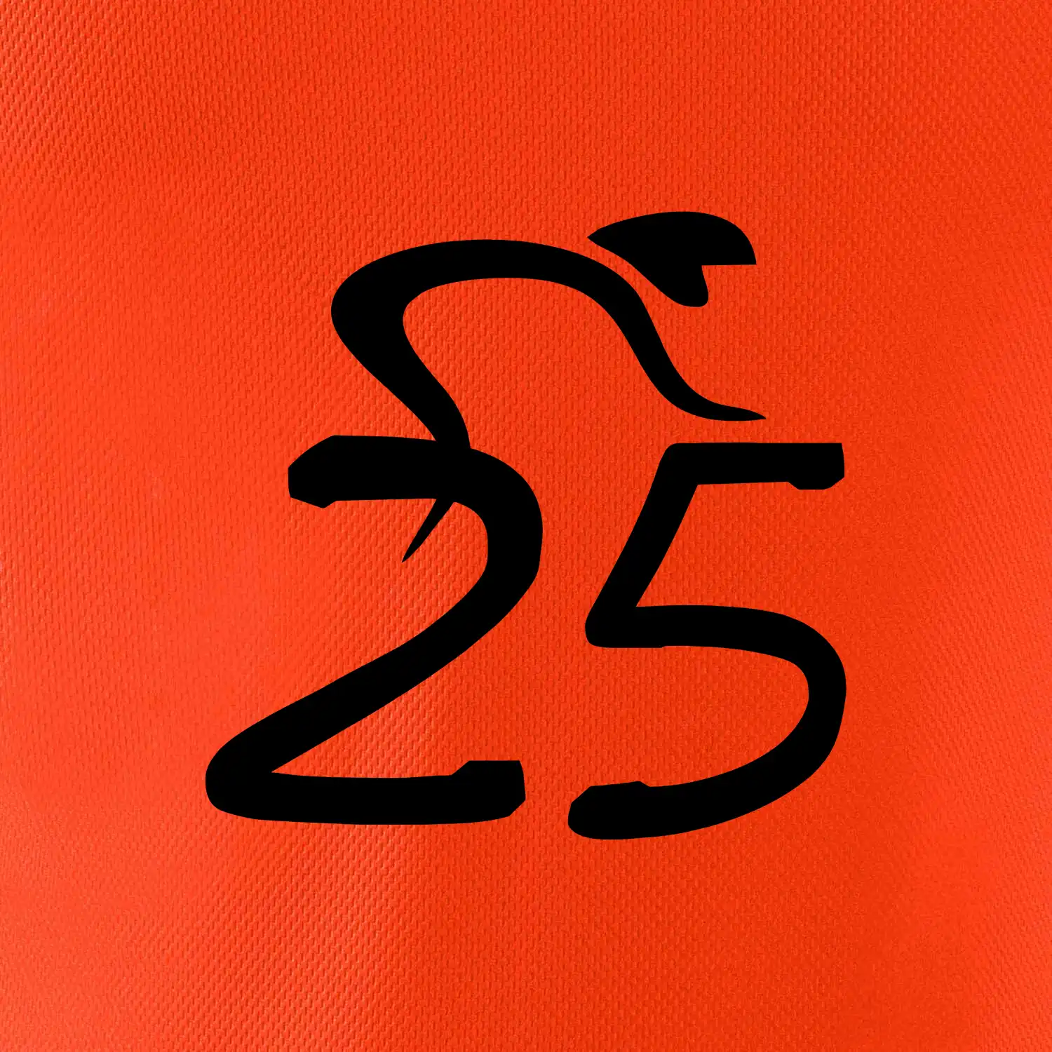 Cyklista slaví pětadvacítku (25)