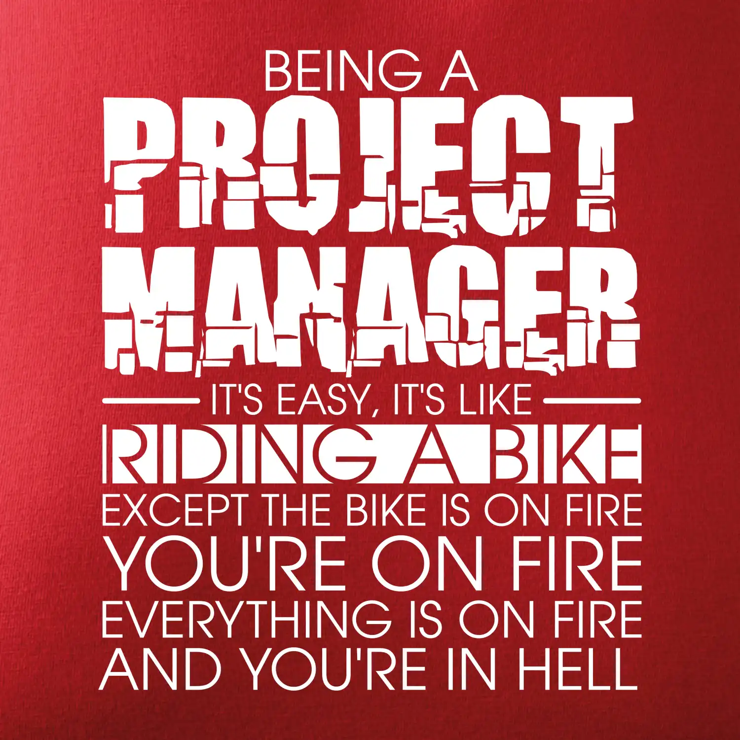 Being A Project Manager - bike