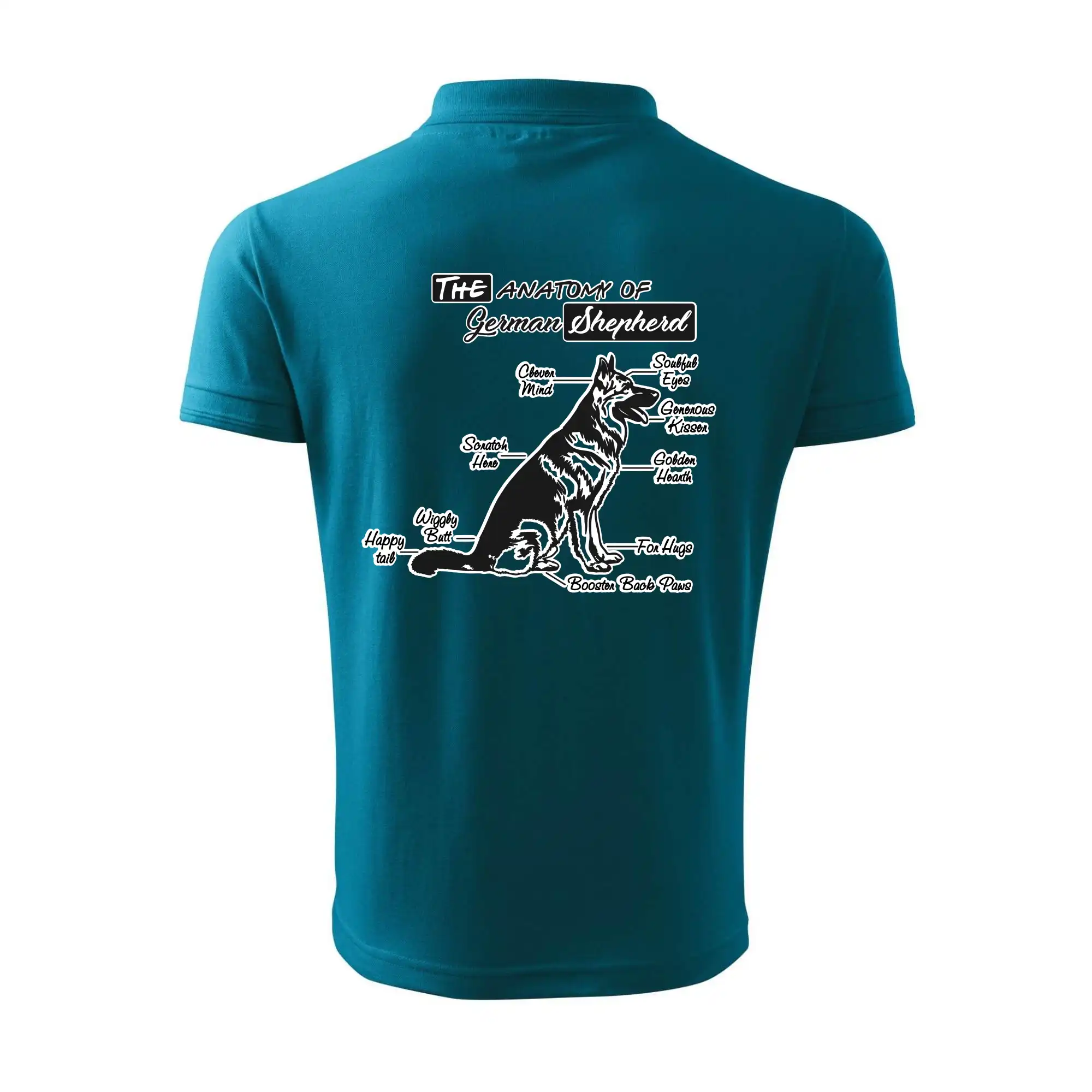 Německý ovčák - Anatomie