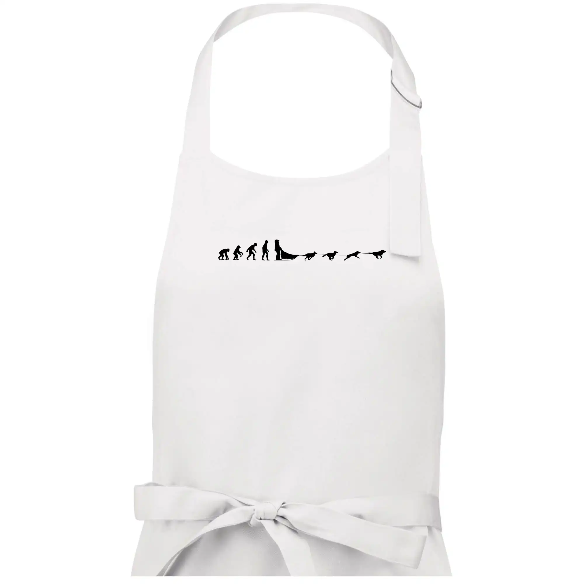 Evoluce psí spřežení