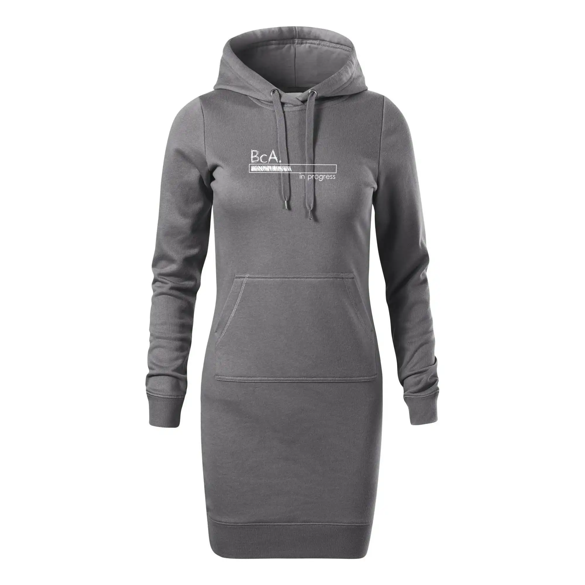 In progress  titul BcA. bakalář / bakalářka umění