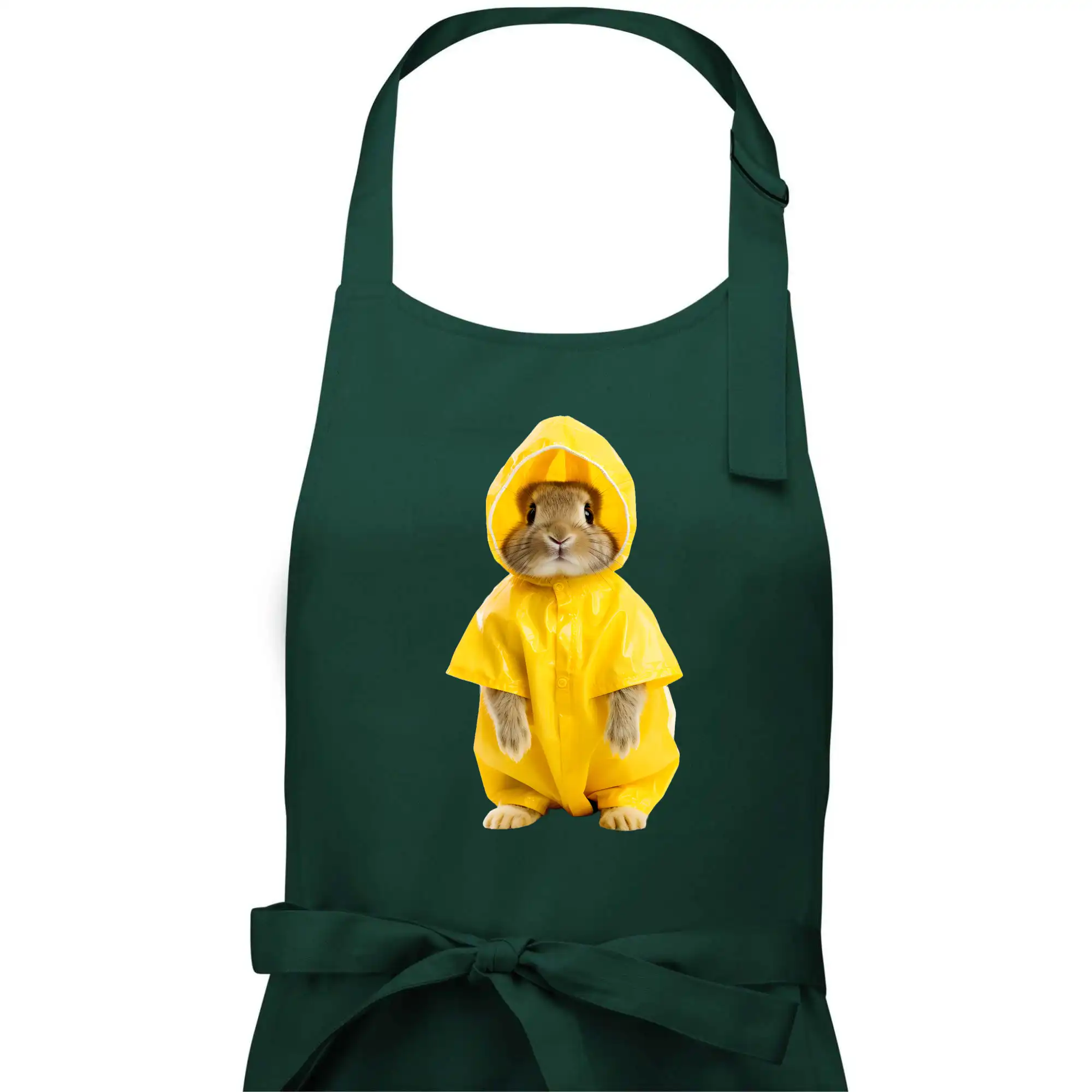 Králík v pláštěnce