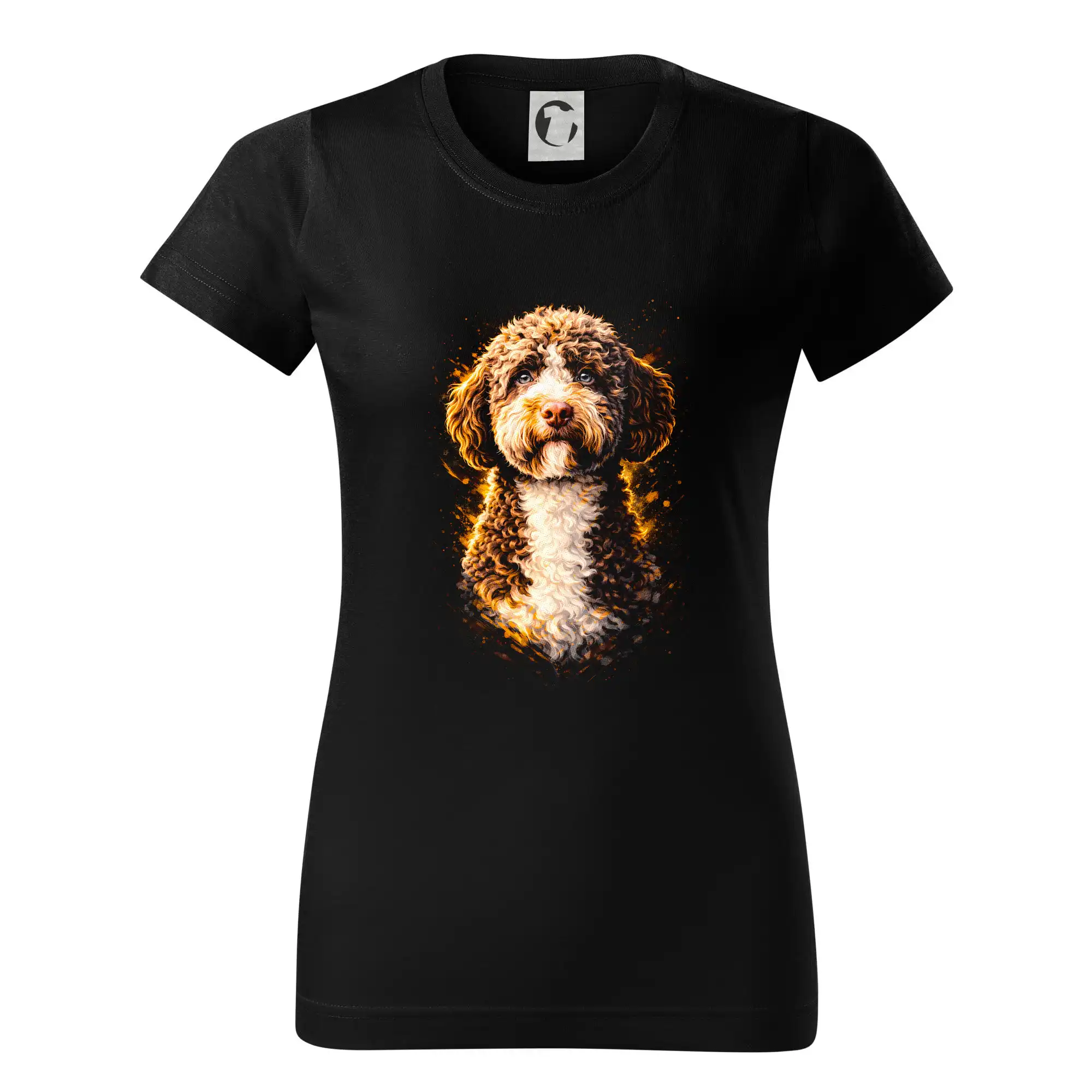Obrázek polotón Lagotto Romagnolo