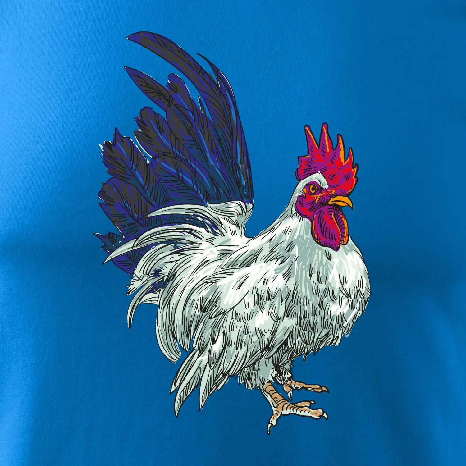 Kohout kreslený bílý