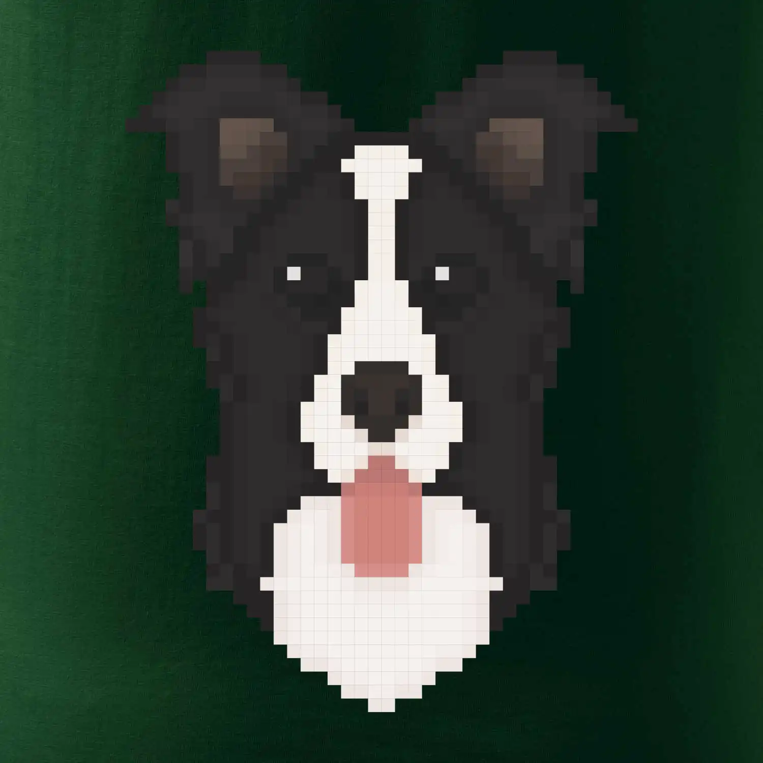 Border kolie Pixel
