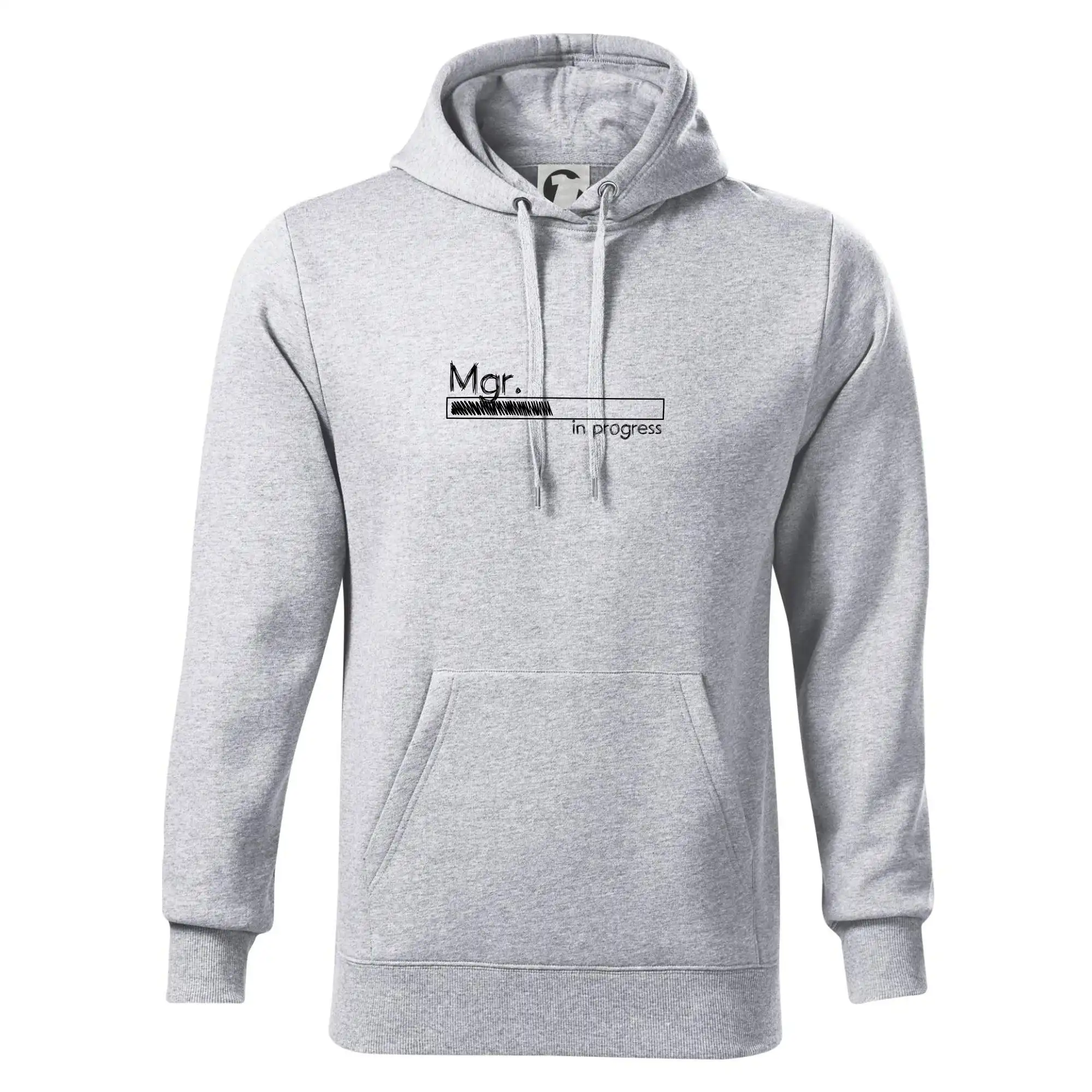 In progress titul Mgr.  magistr / magistra