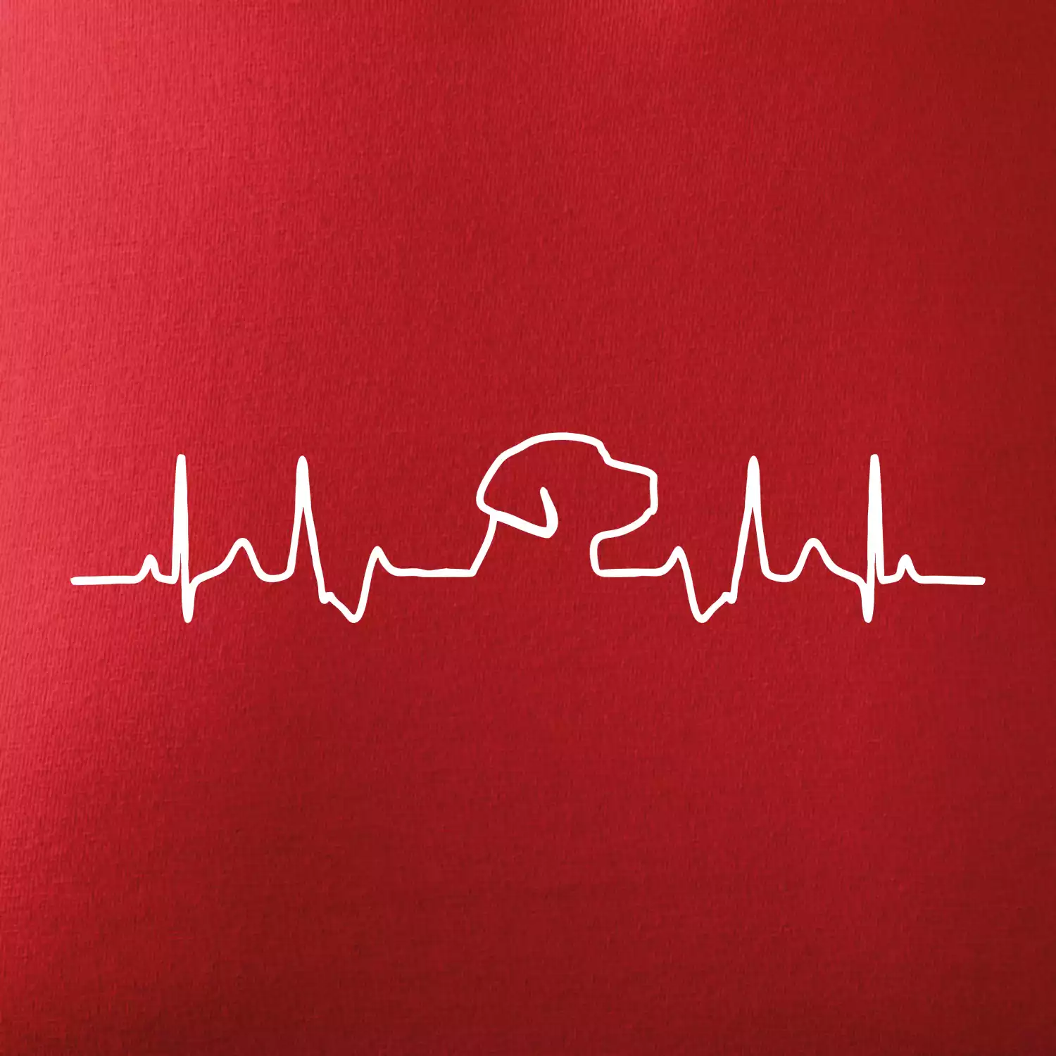 Labrador EKG