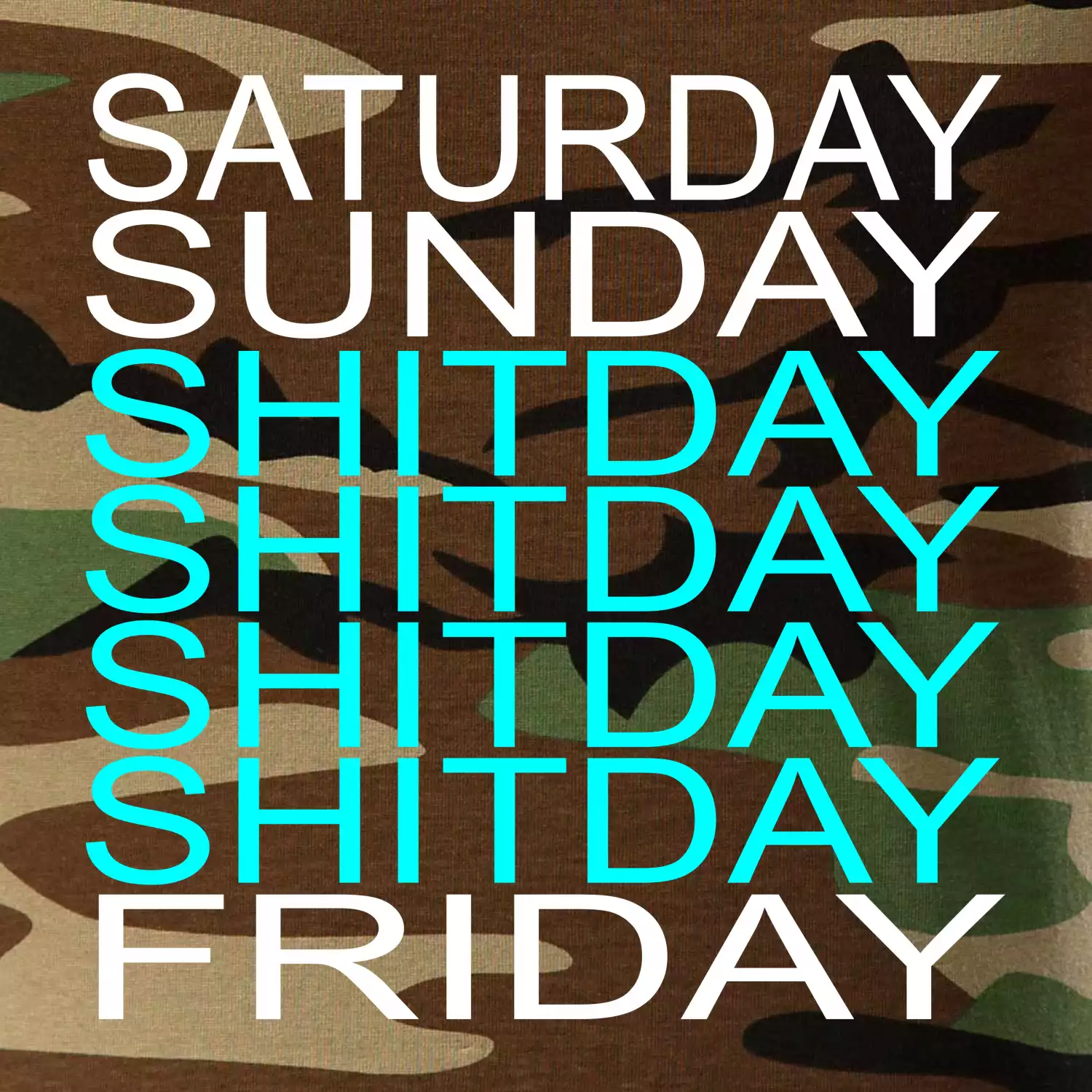Shitday