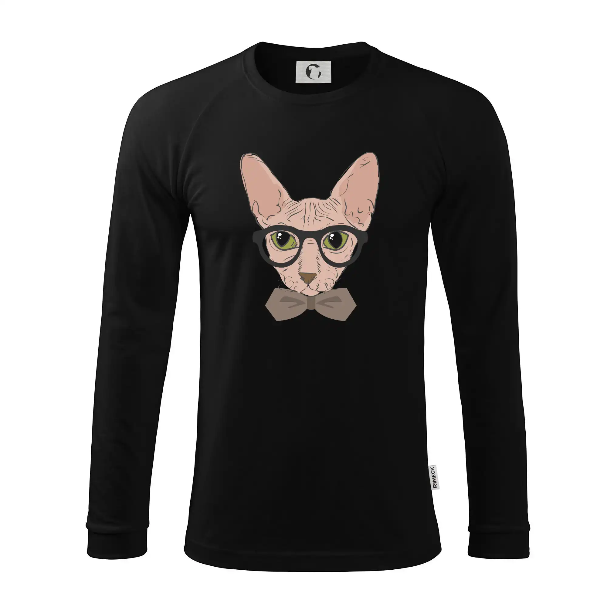 Hipster sphynx