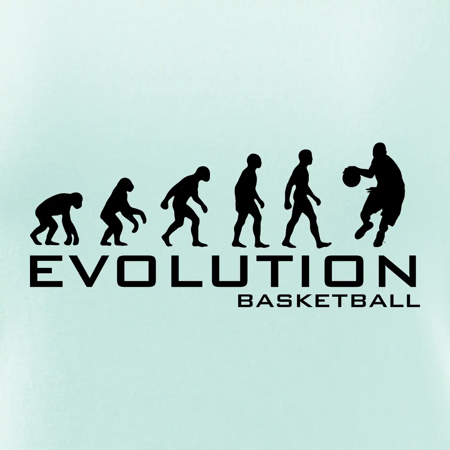 Evoluce Basketball