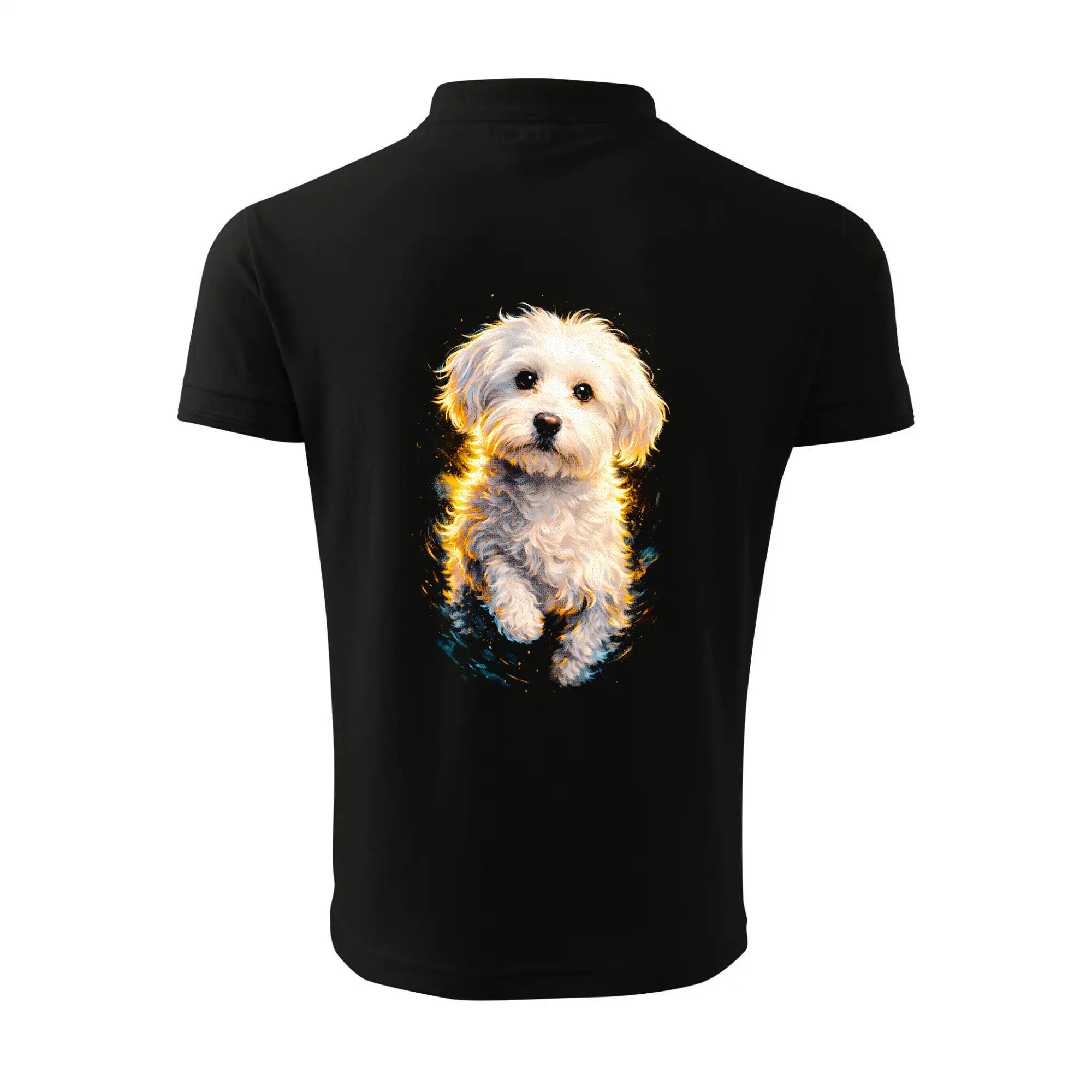 Obrázek polotón Maltezský psík