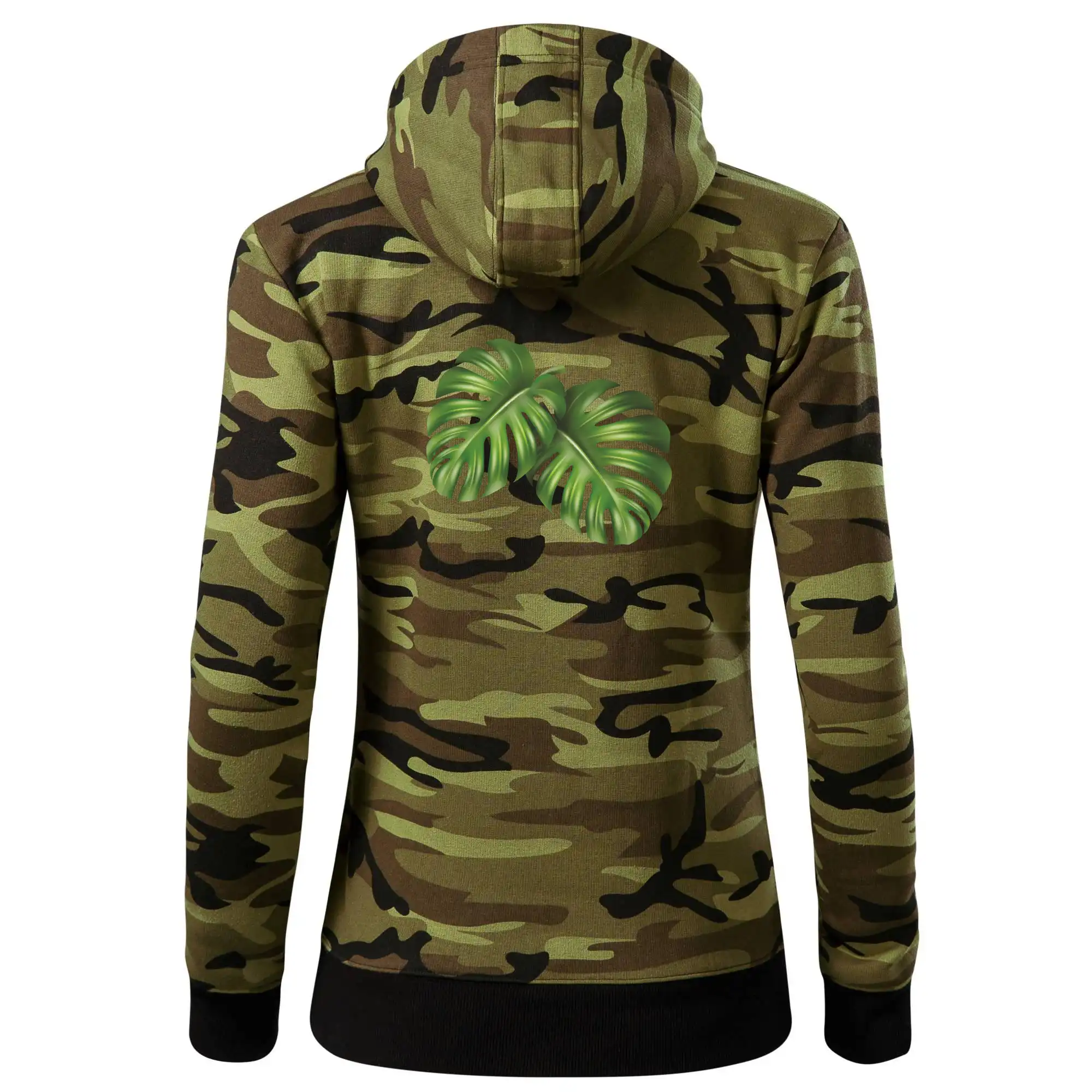 Monstera - dva listy