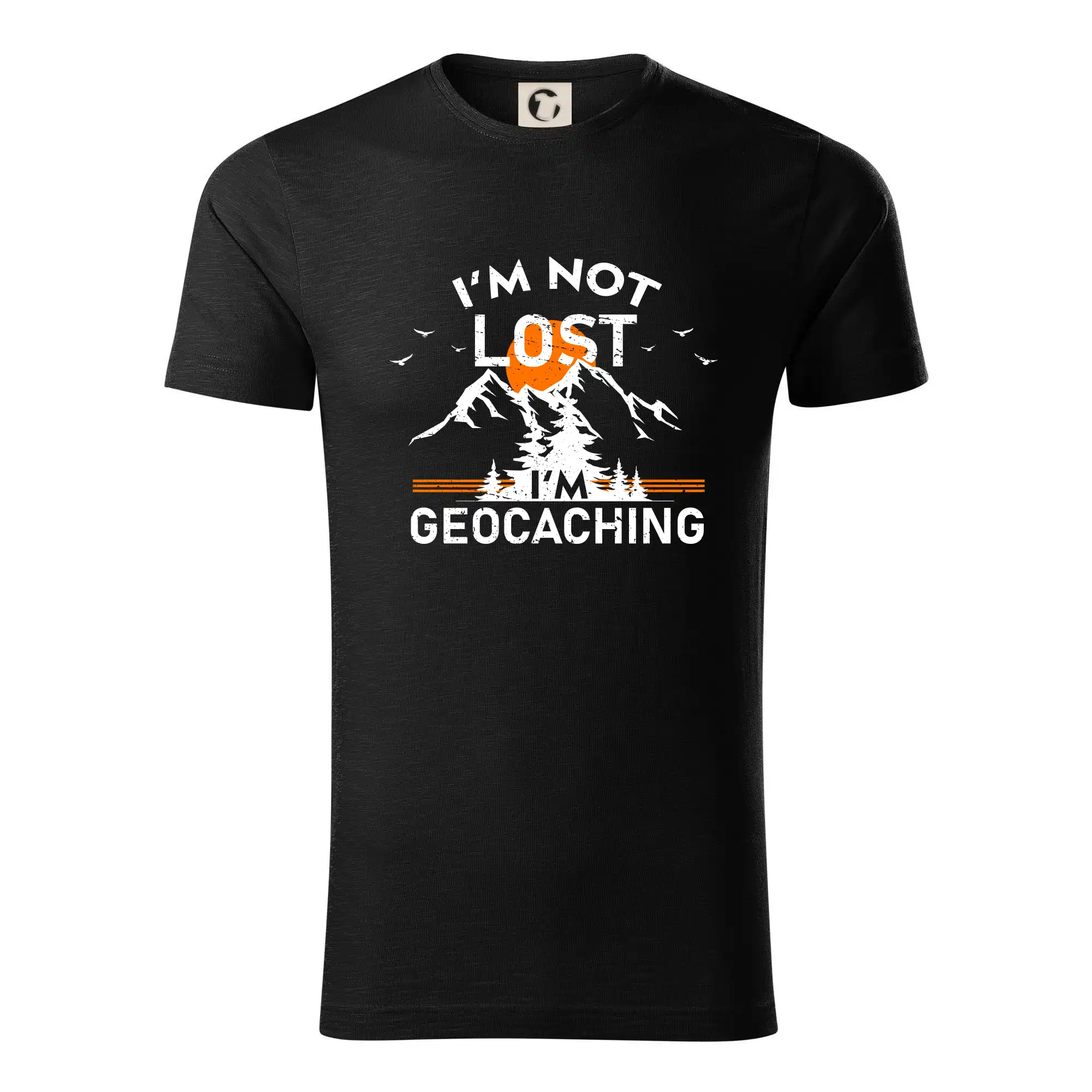 Im not lost - geocaching