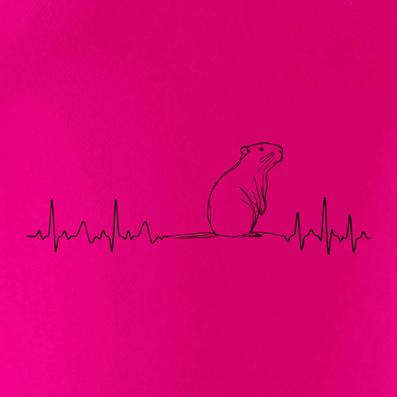 EKG křivka kapybara