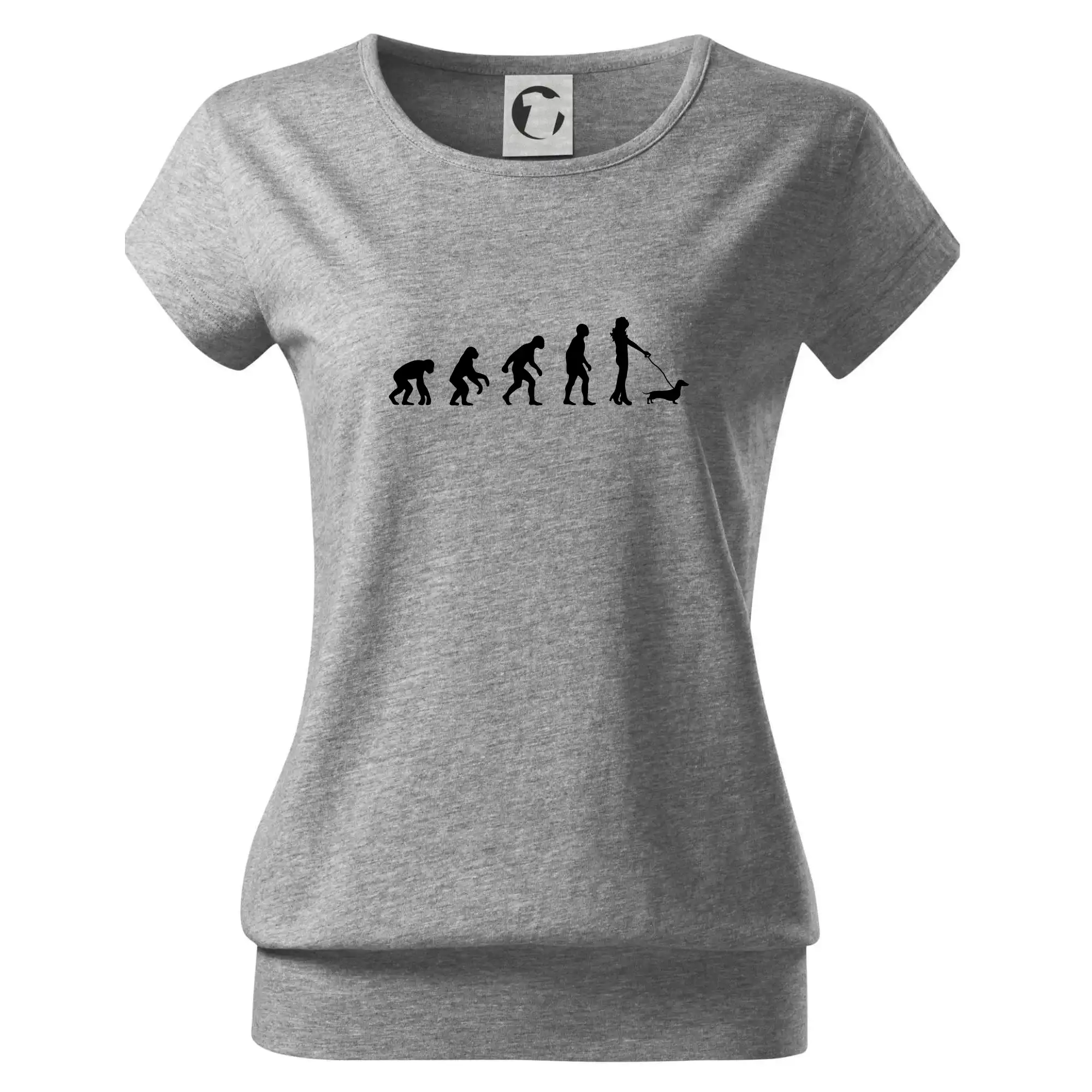 Jezevčík Evoluce žena