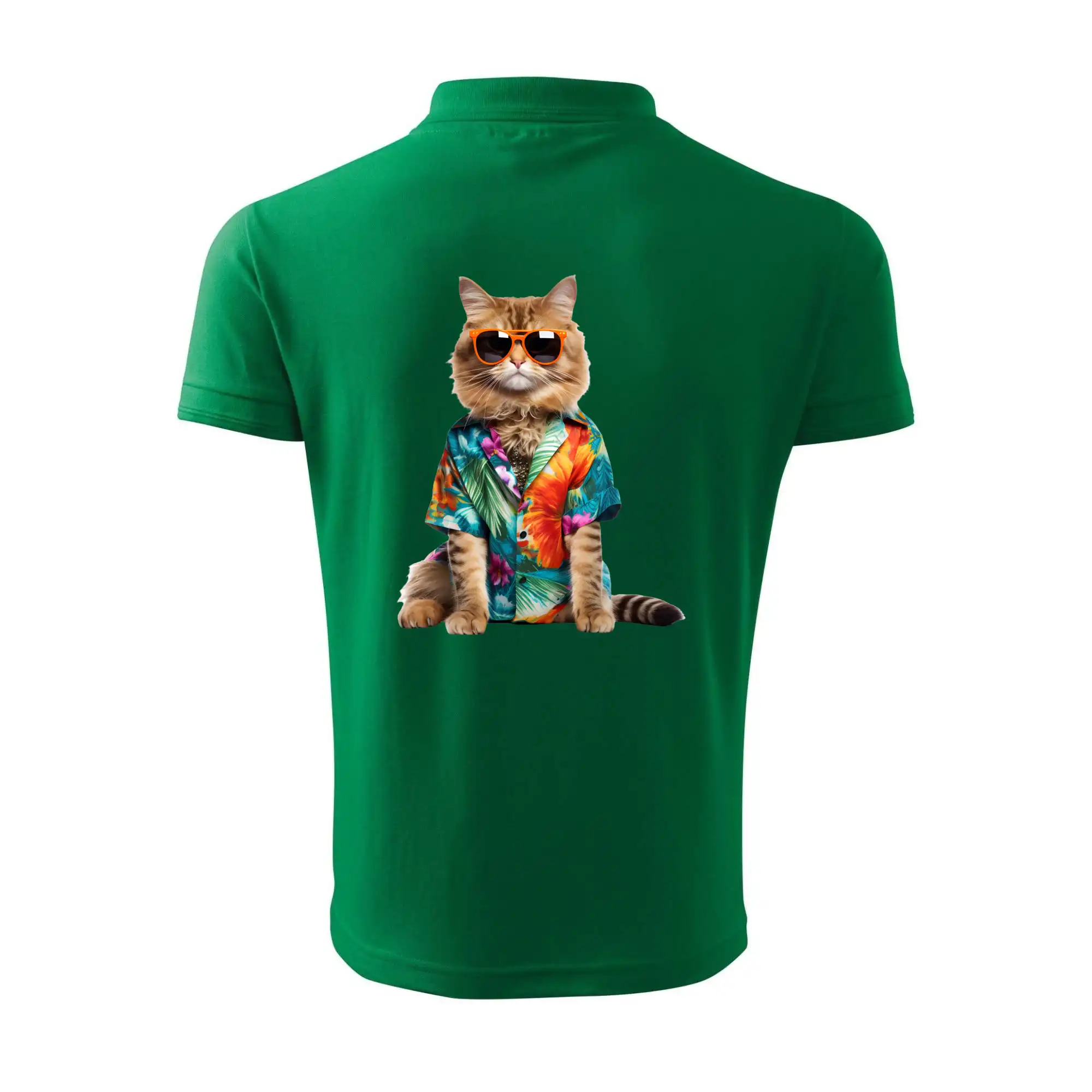 Kočka v létě