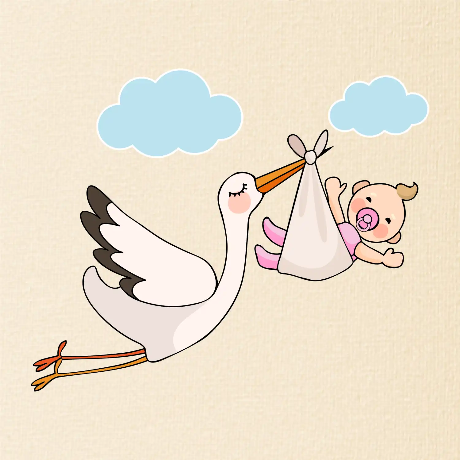 Čáp čekáme miminko - holka