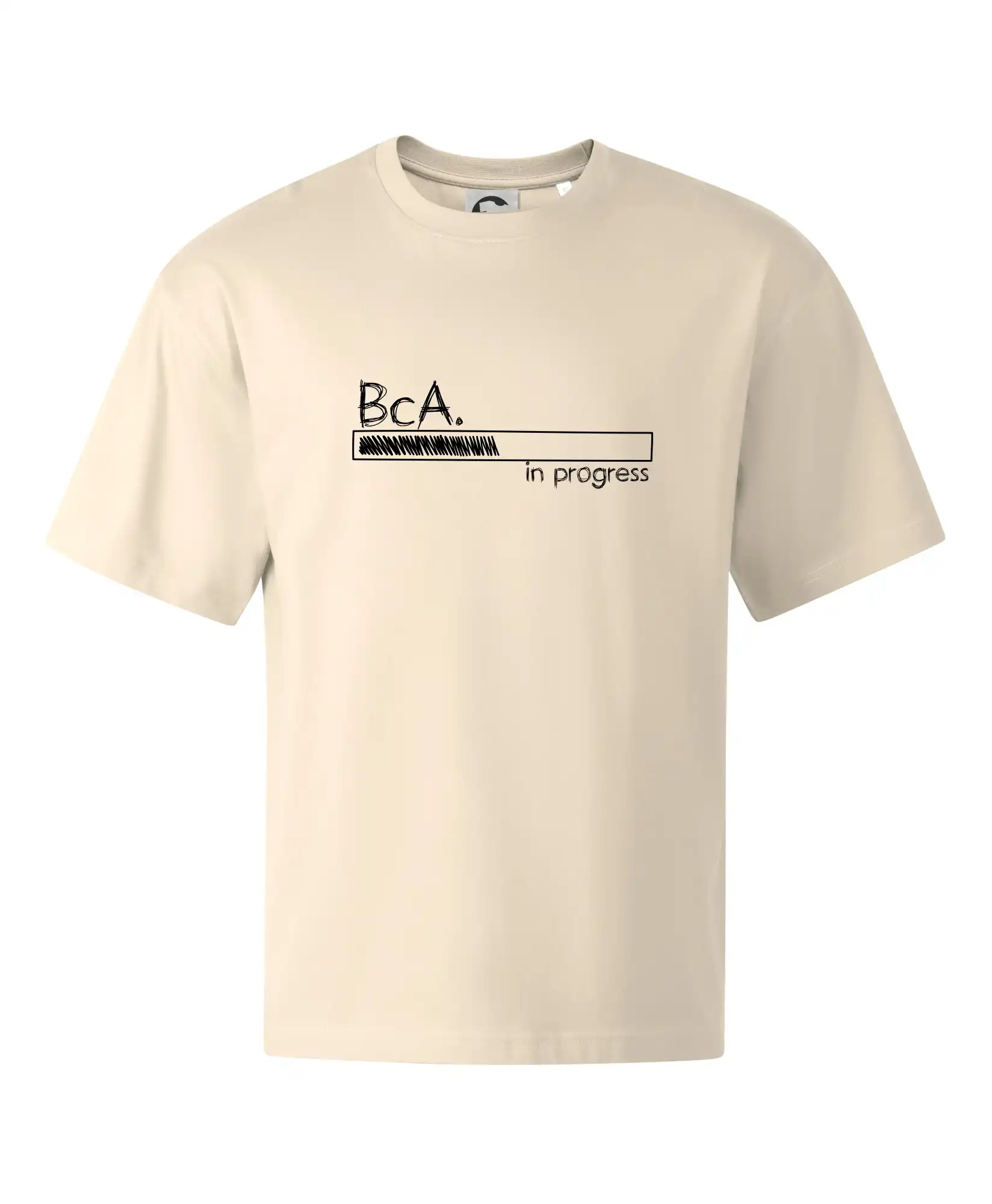 In progress  titul BcA. bakalář / bakalářka umění