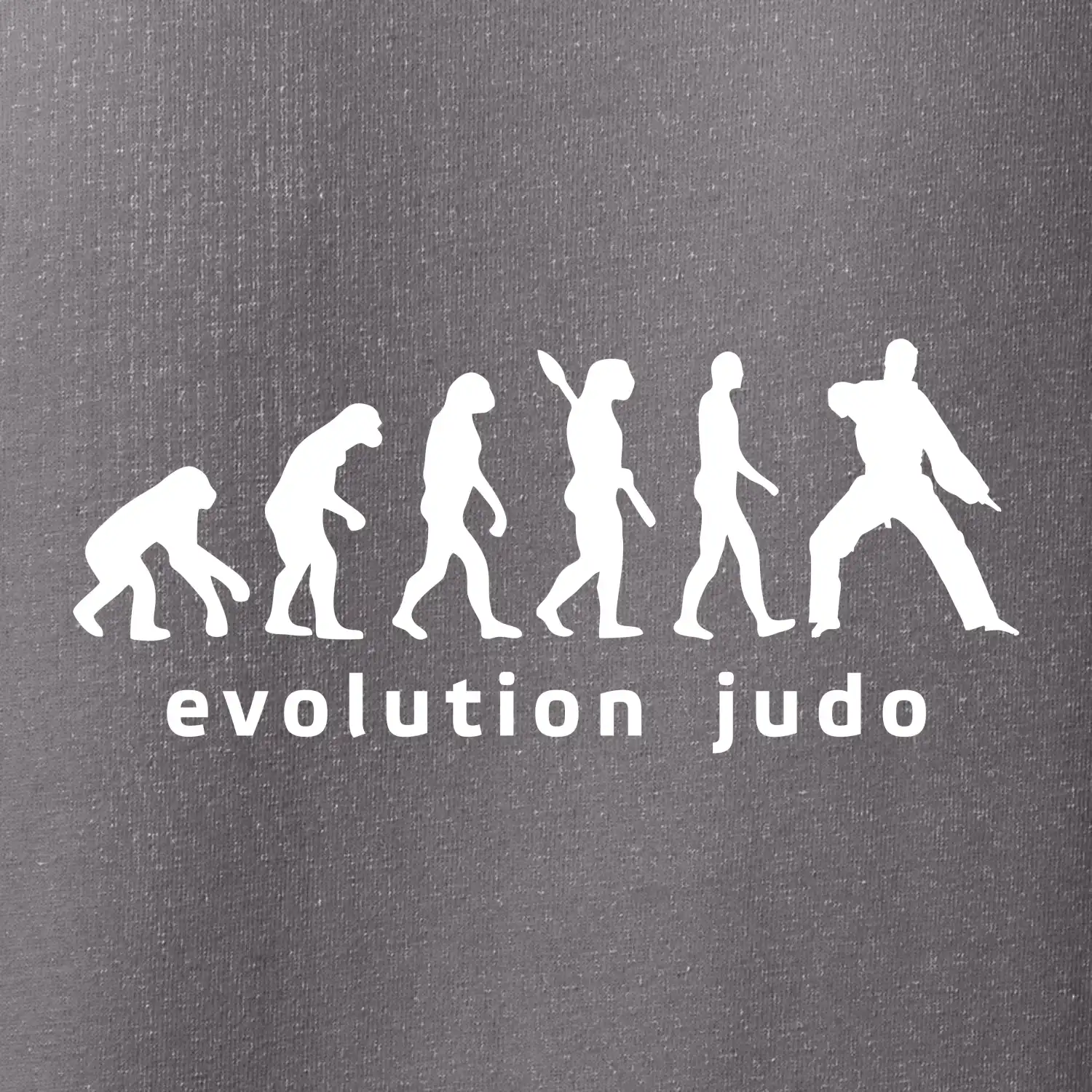 Judo evoluce - úder