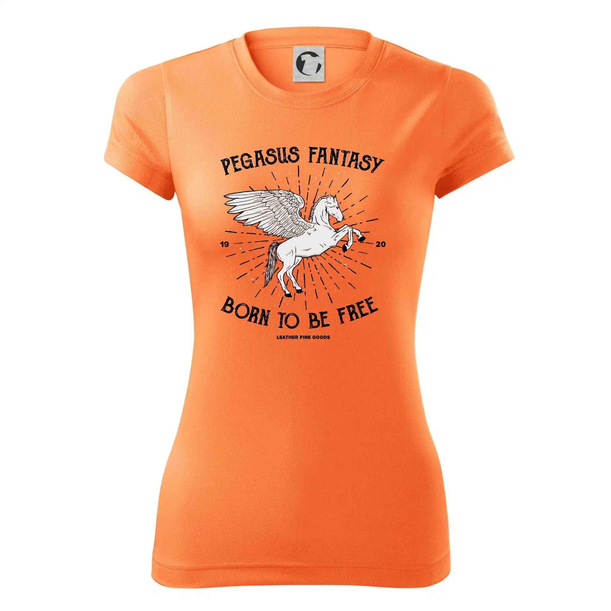 Pegasus fantasy